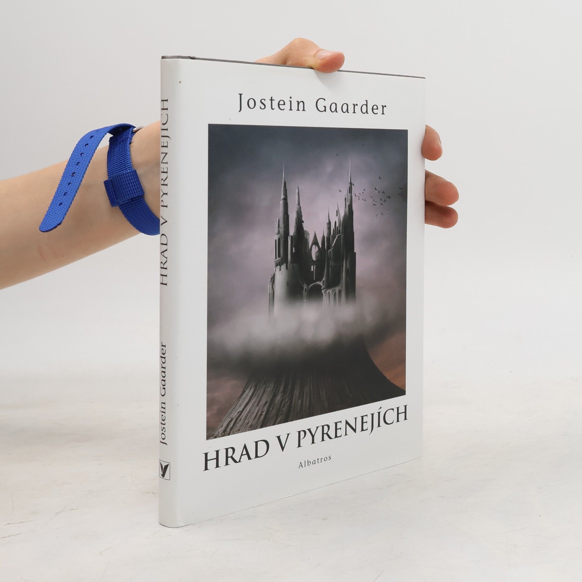Jostein Gaarder Hrad v Pyrenejích
