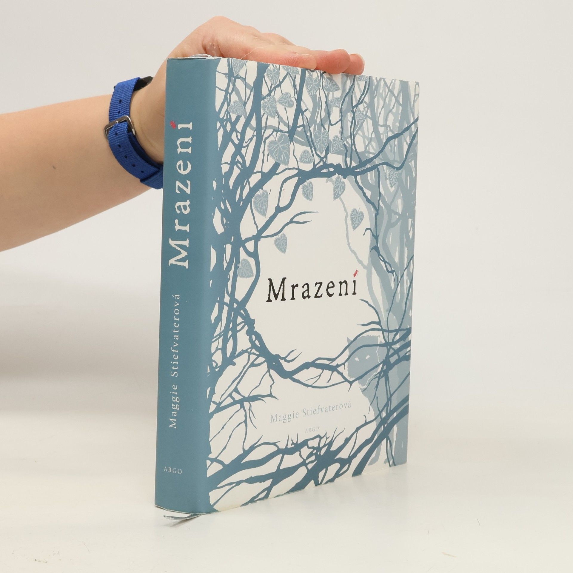 Maggie Stiefvater Mrazení