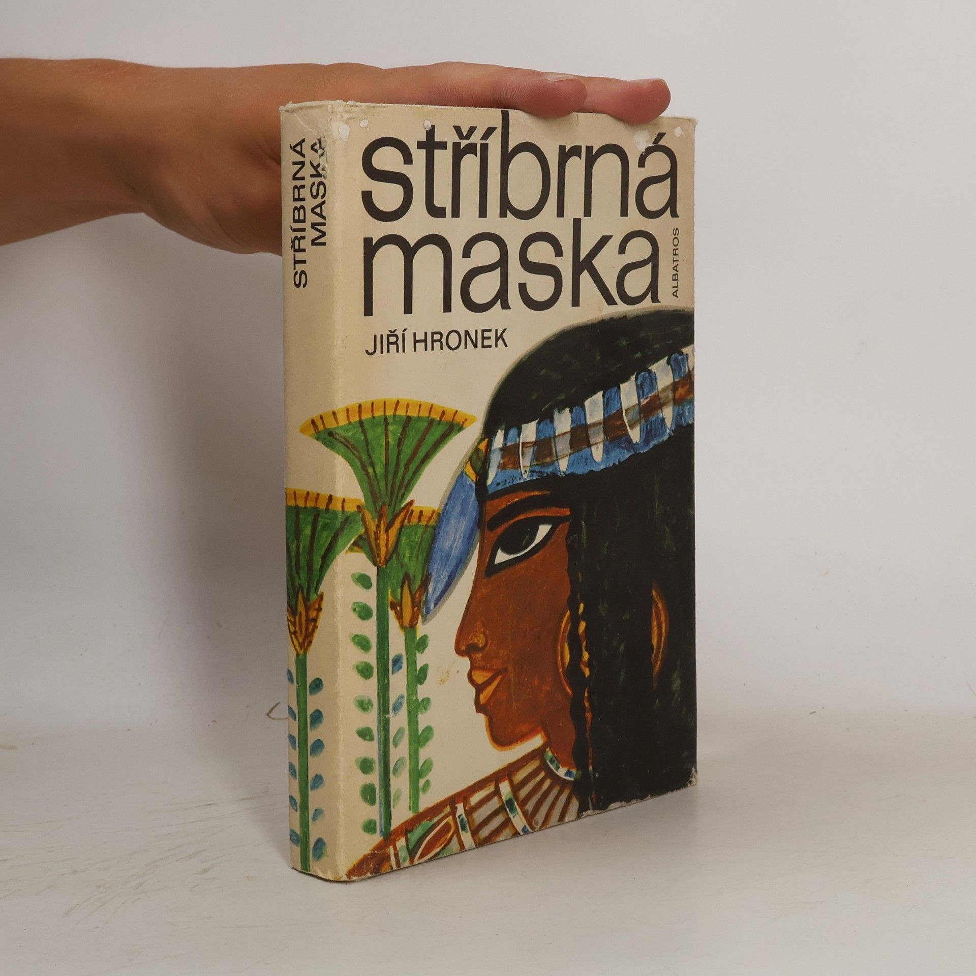 Jiří Hronek Stříbrná maska