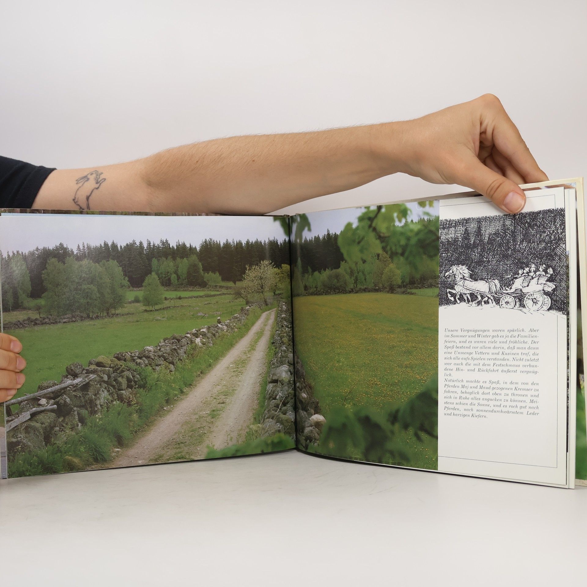 Astrid Lindgren Mein Smȧland