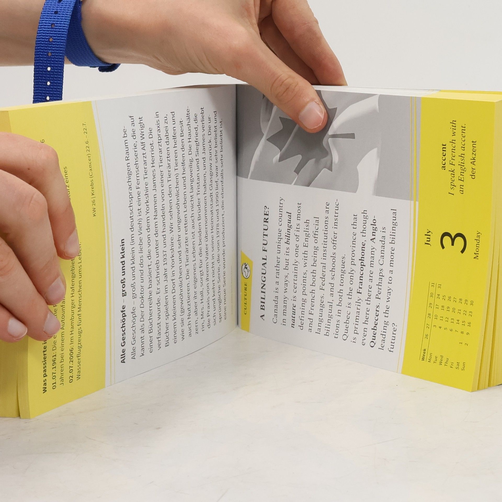 Autorenkollektiv Langenscheidt Sprachkalender Englisch 2023