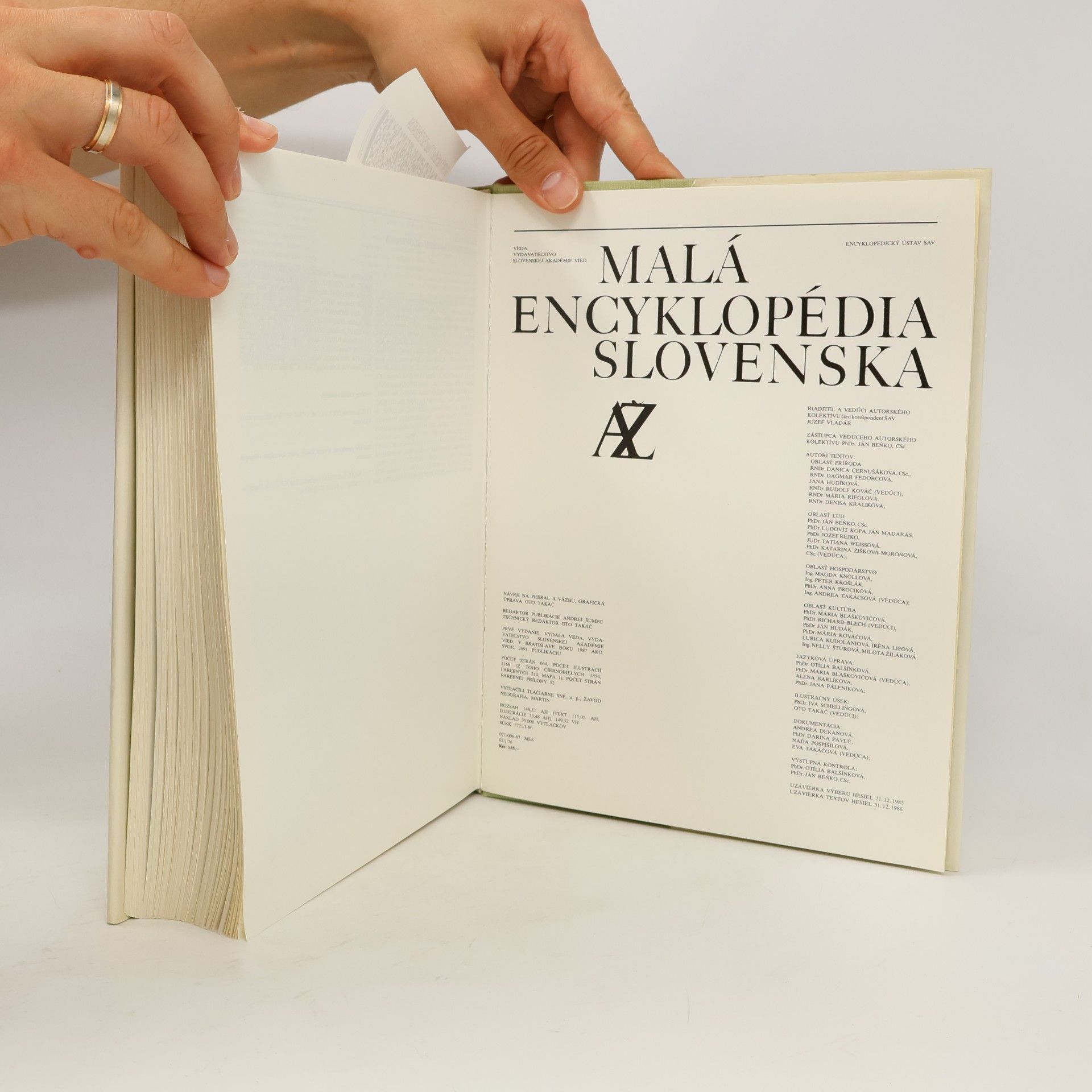 Autorenkollektiv Malá encyklopédia Slovenska