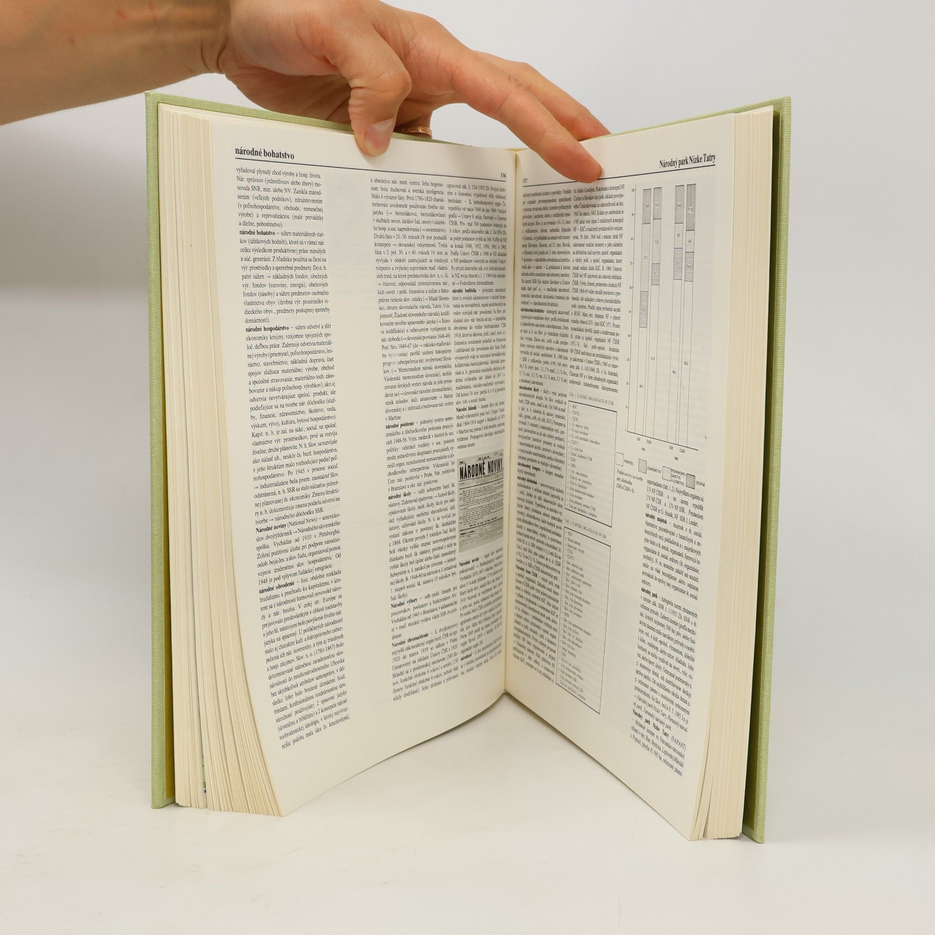 Autorenkollektiv Malá encyklopédia Slovenska