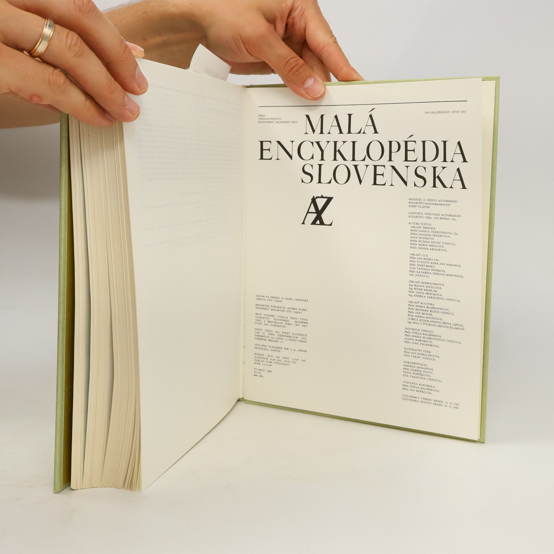 Autorenkollektiv Malá encyklopédia Slovenska