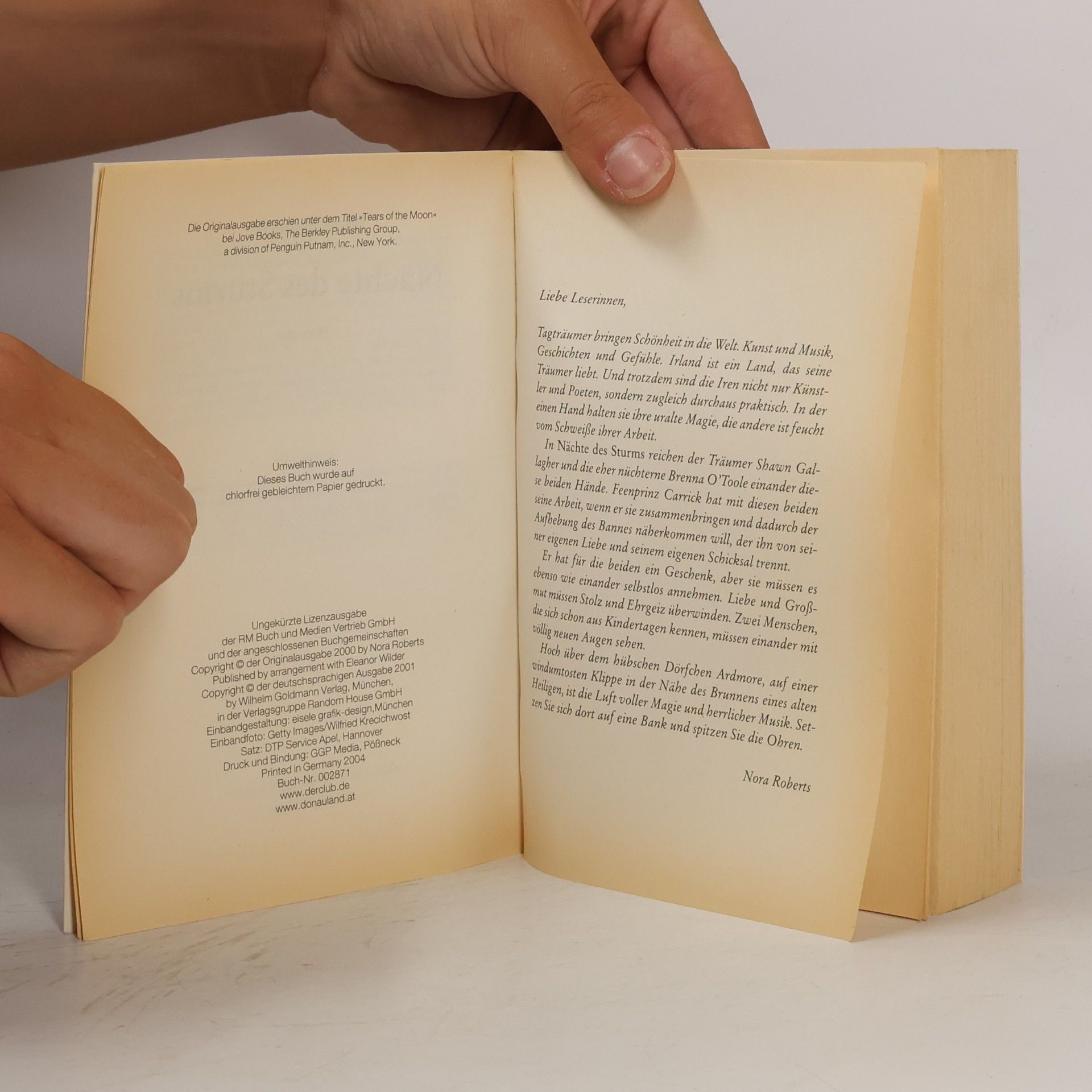 Nora Roberts Nächte des Sturms