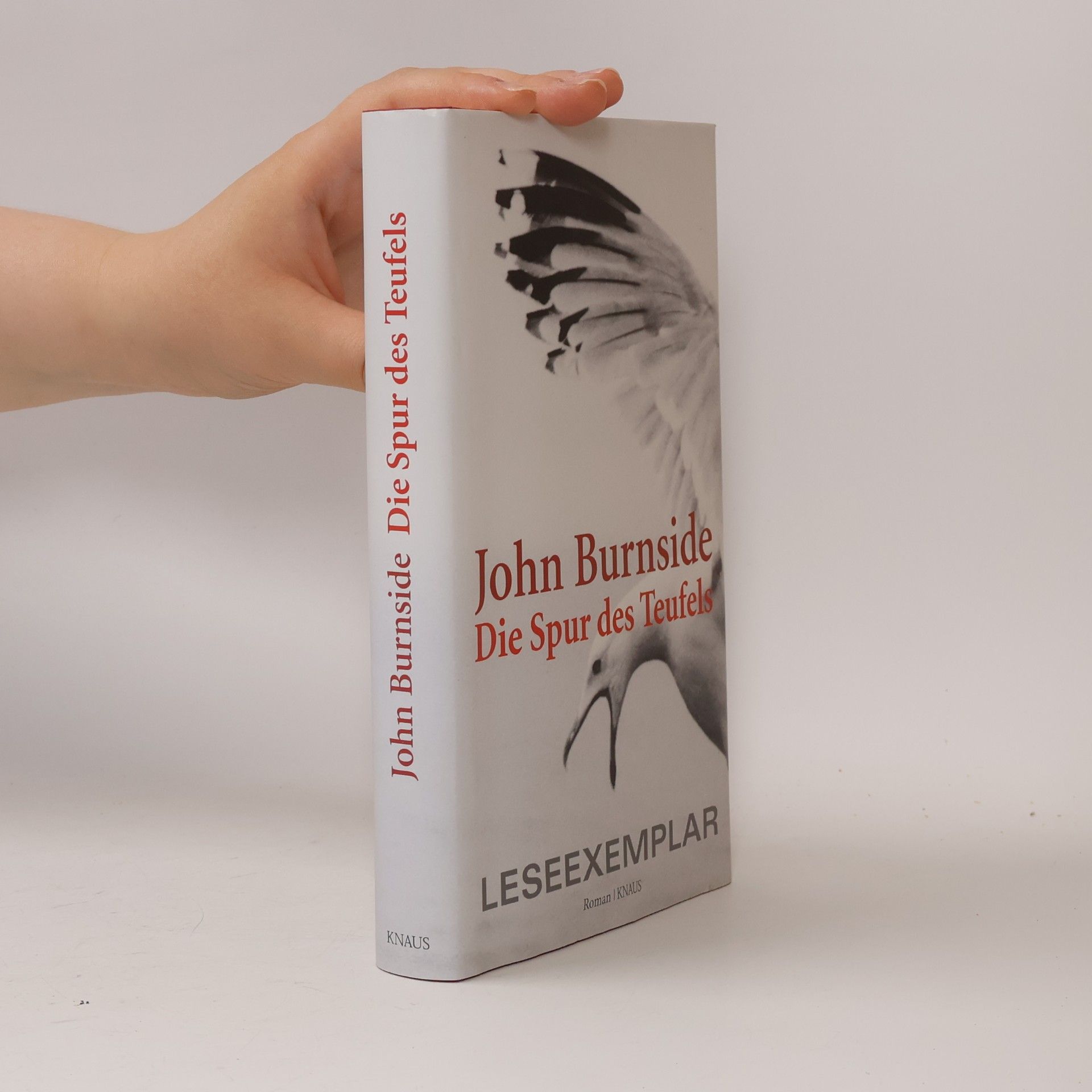 John Burnside Die Spur des Teufels