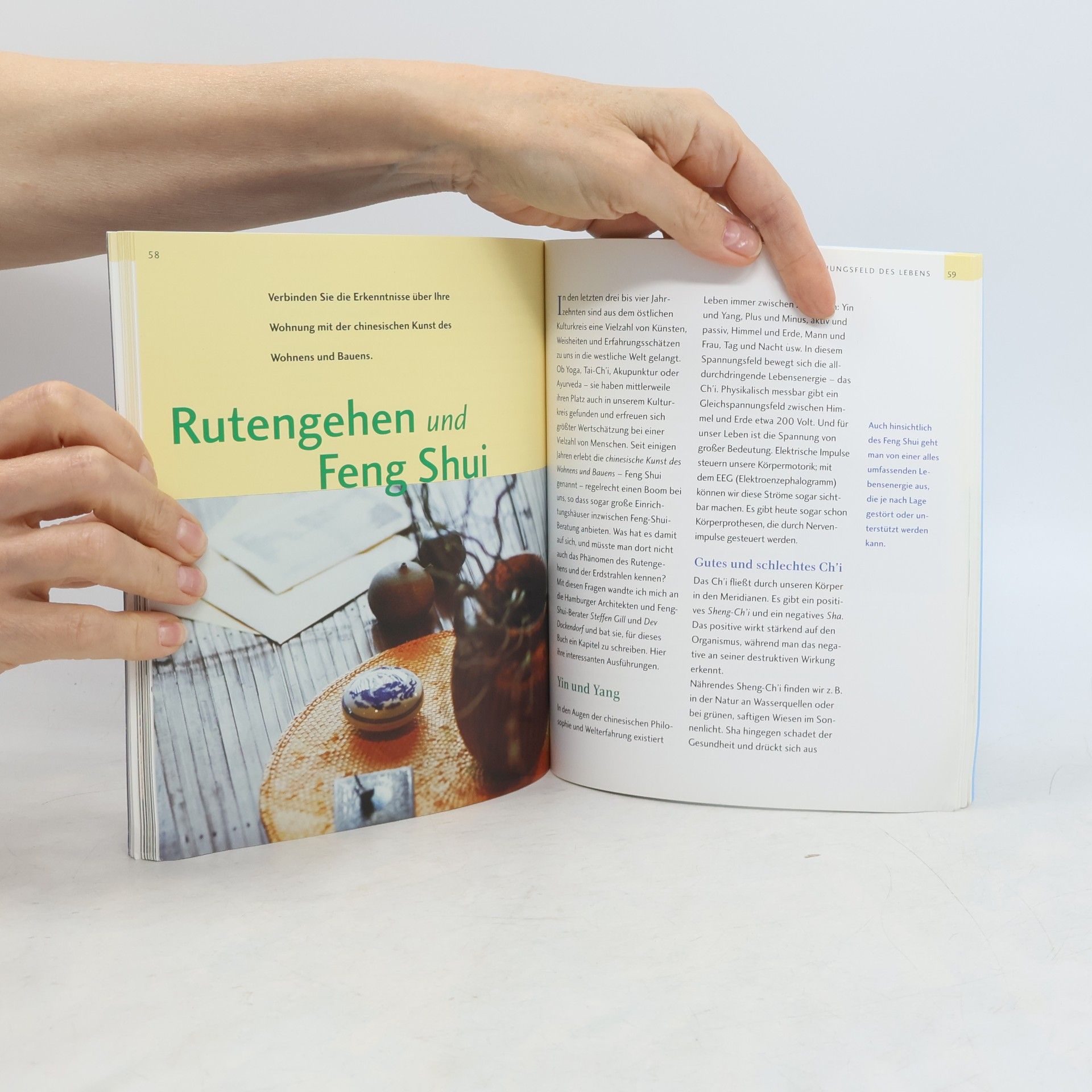 Ulrich Holst Rutengehen