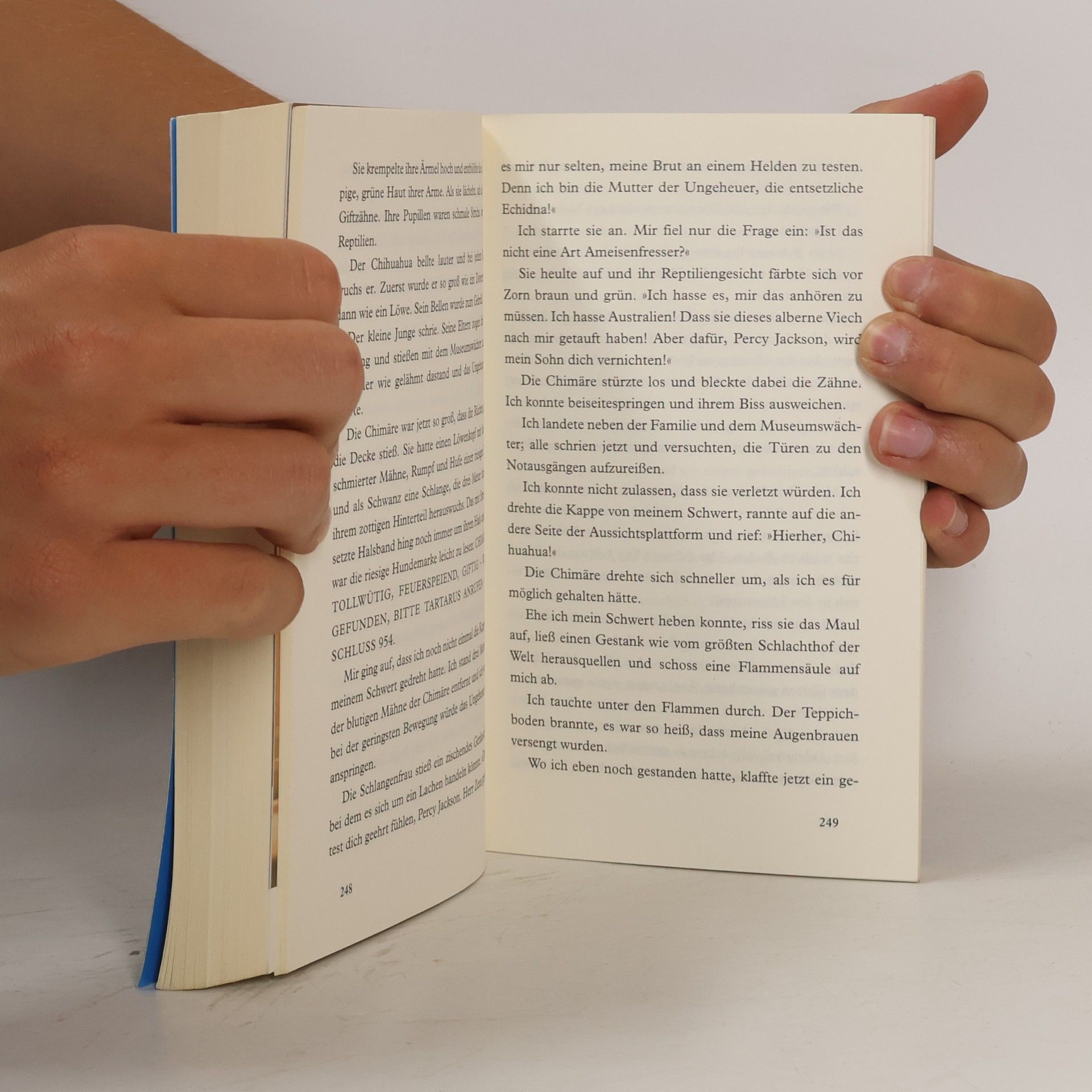 Rick Riordan Percy Jackson Diebe im Olymp