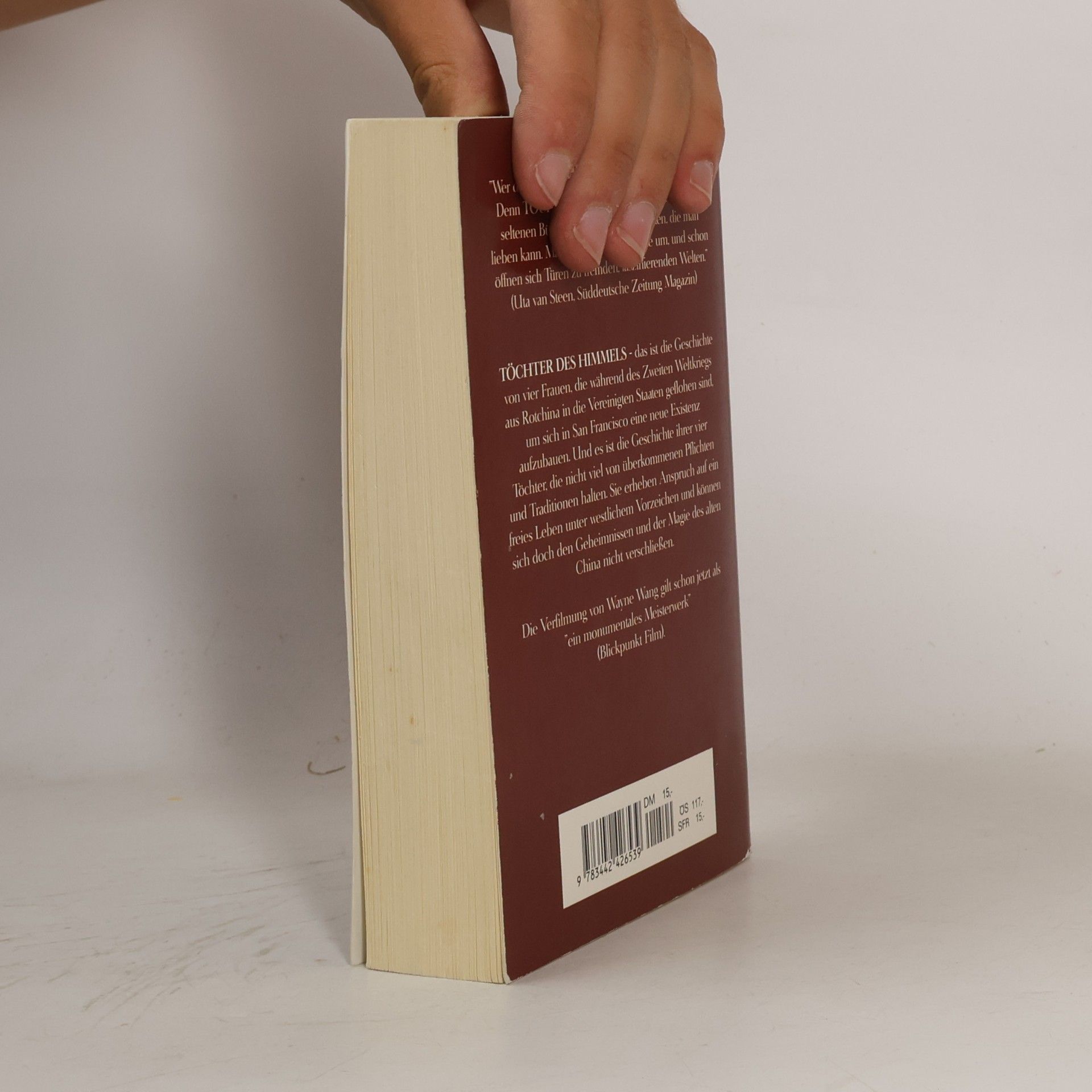 Amy Tan Töchter des Himmels