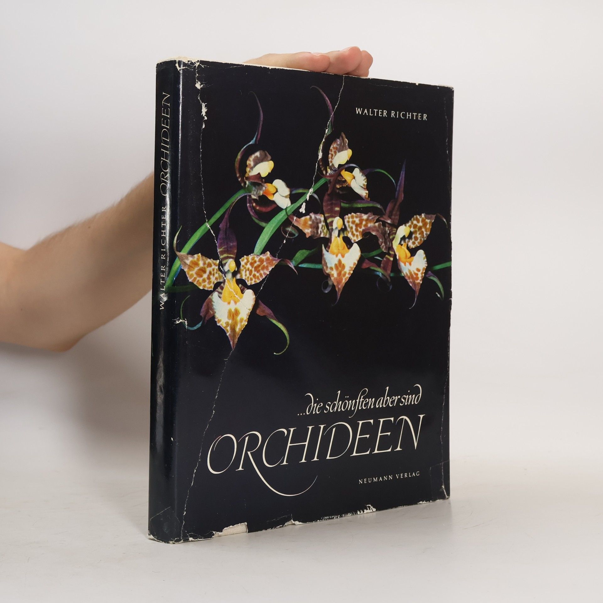 Walter Richter ...die schönsten aber sind Orchideen