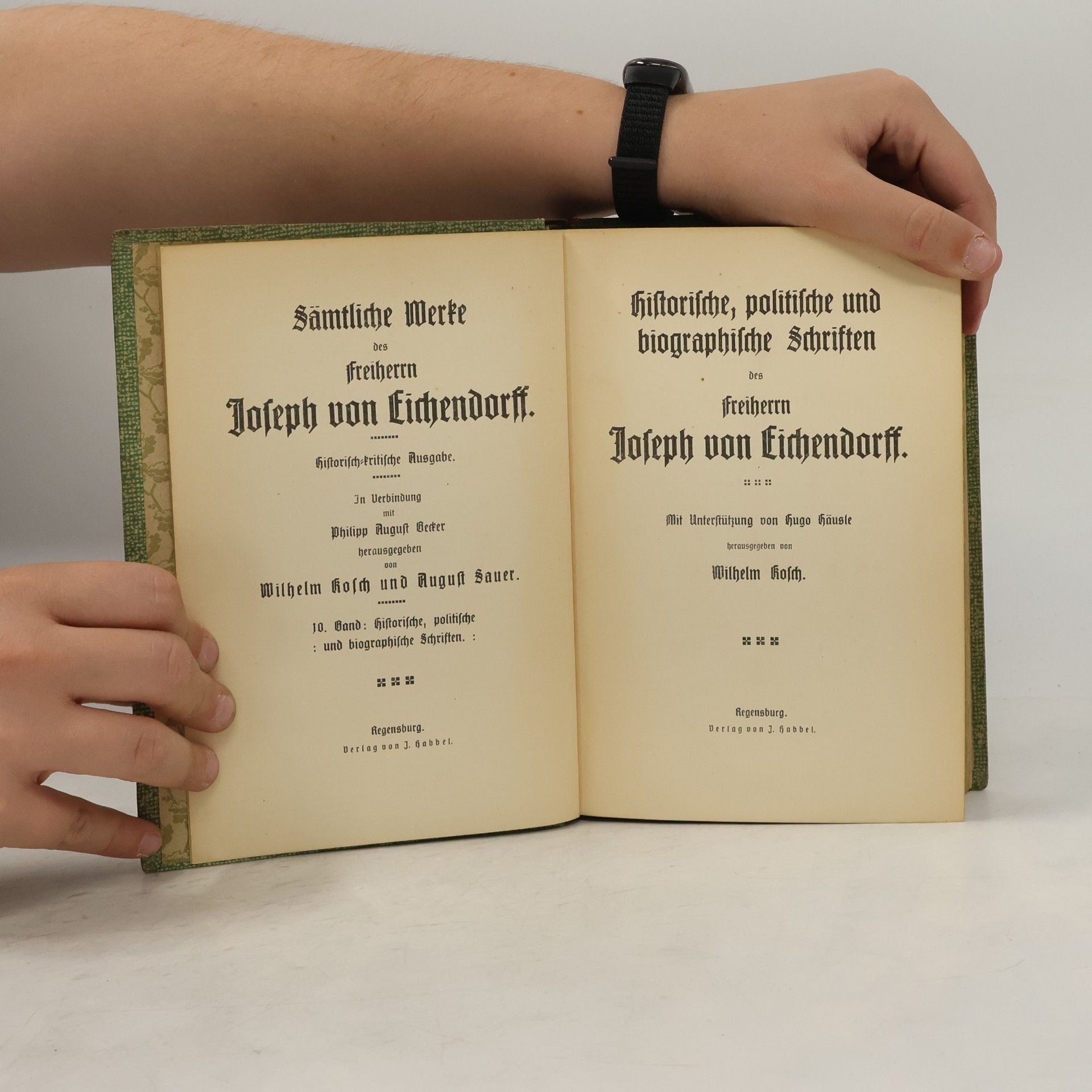 Joseph von Eichendorff Sämtliche Werke des Freiherrn Joseph von Eichendorff 10. Historische, politische und biographische Schriften