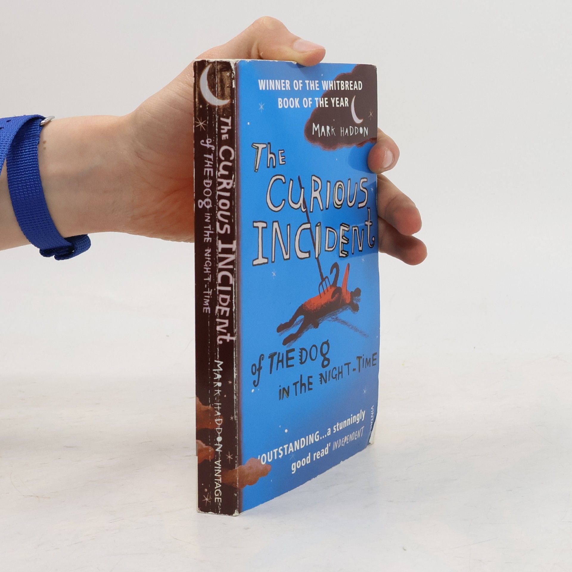 Mark Haddon The Curious Incident of The Dog in The Night-Time