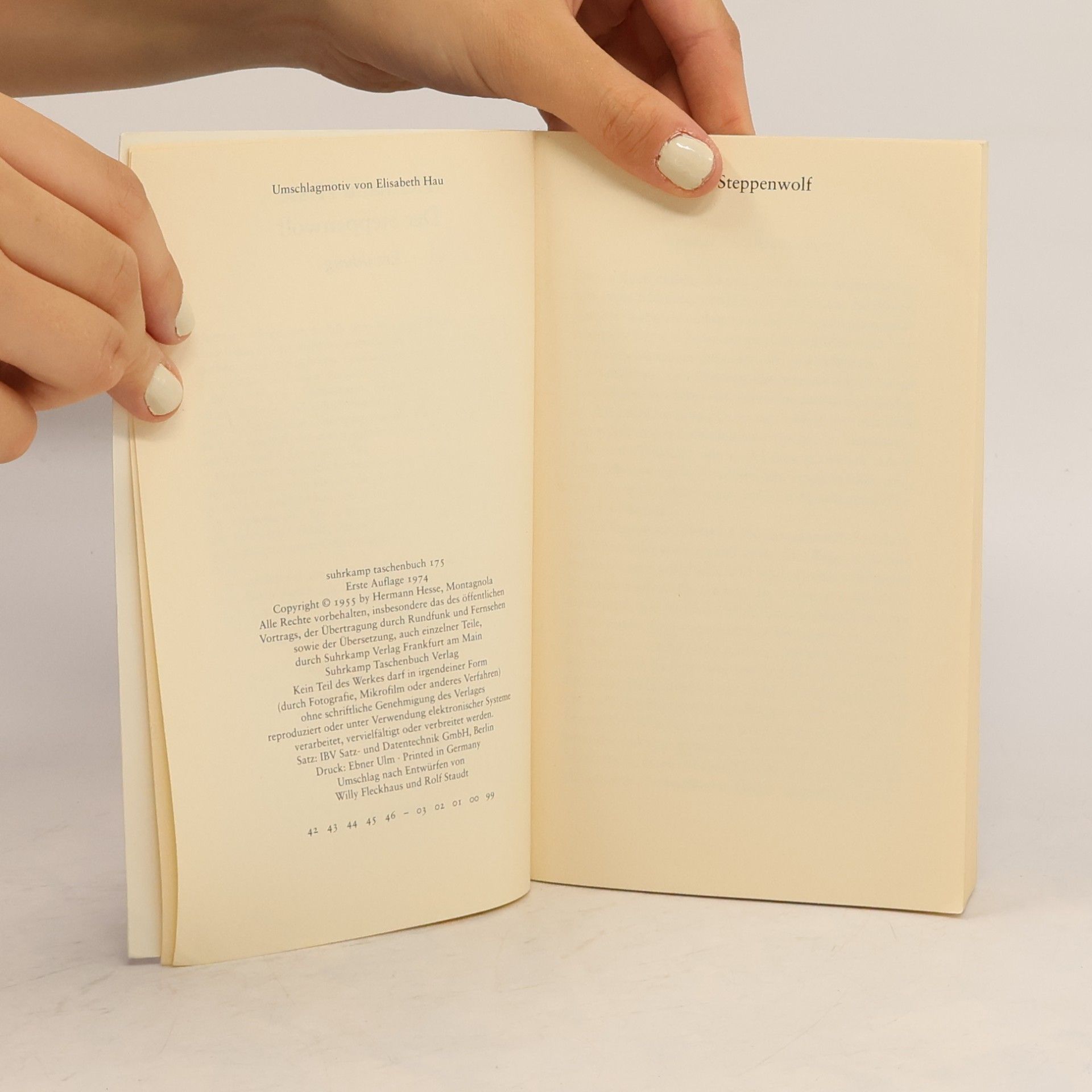 Hermann Hesse Der Steppenwolf