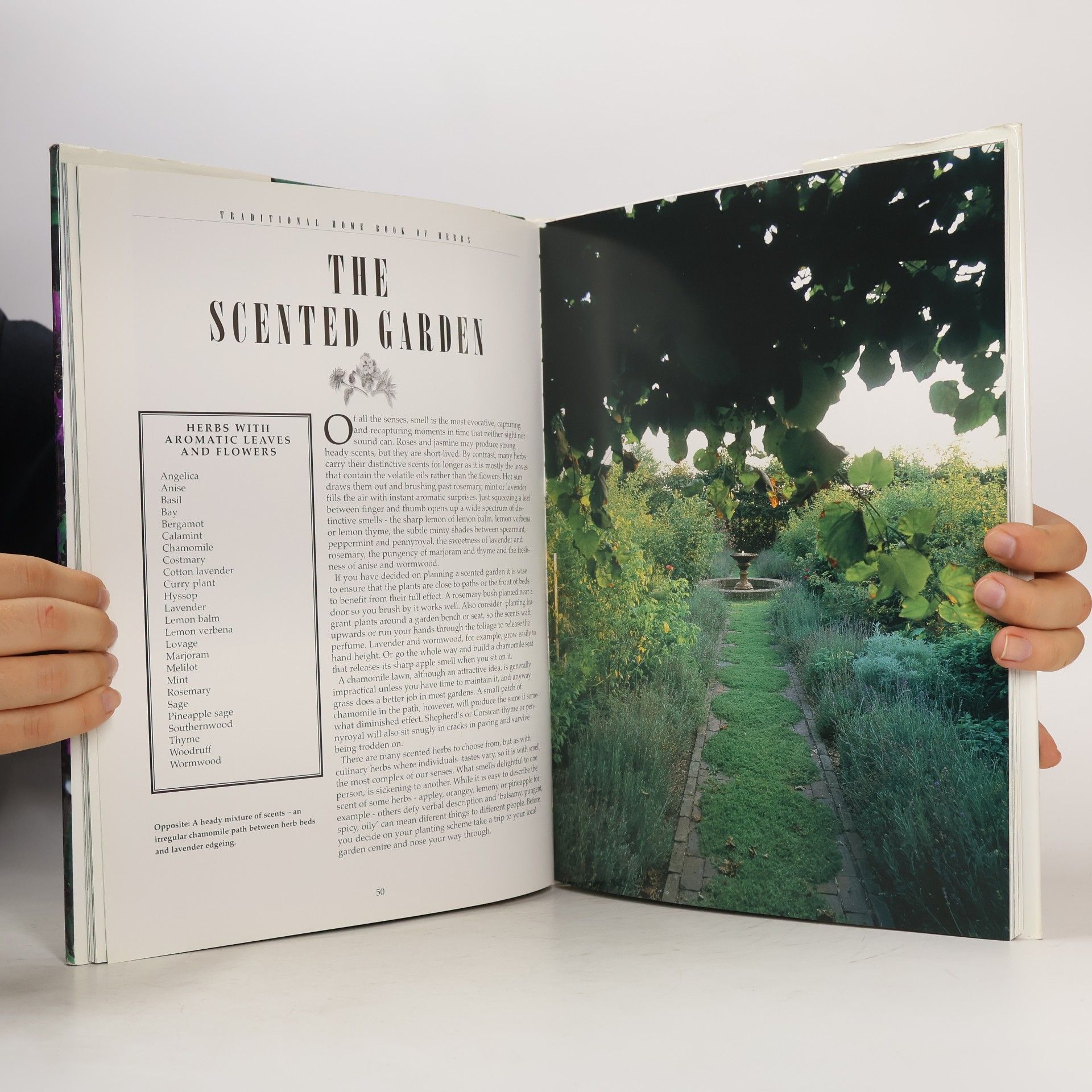 Michael Janulewicz Traditional Home Book of Herbs