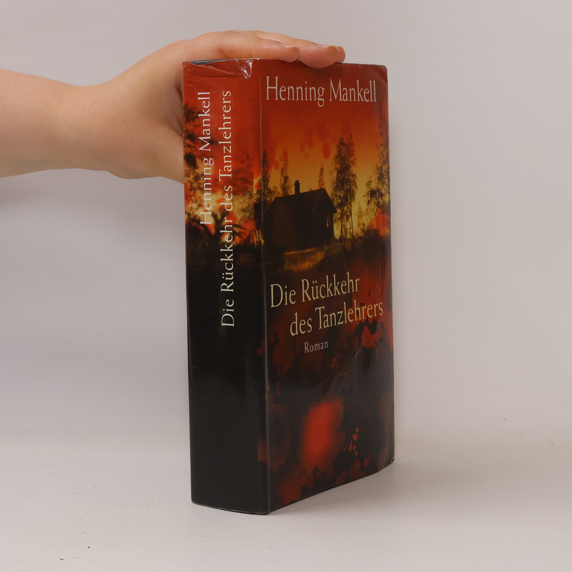 Henning Mankell Die Rückkehr des Tanzlehrers