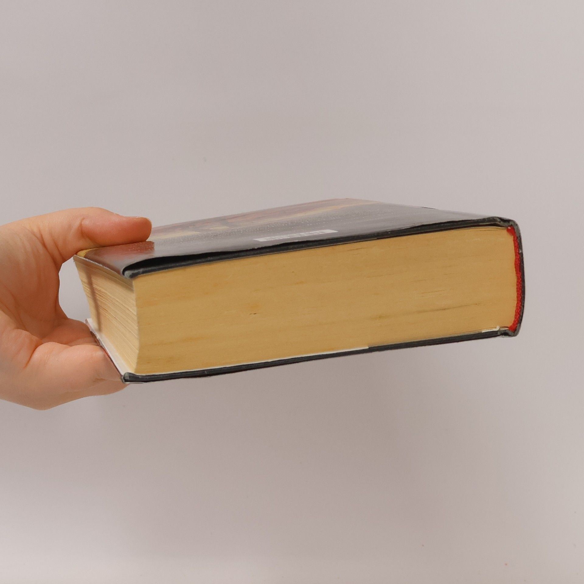 Henning Mankell Die Rückkehr des Tanzlehrers
