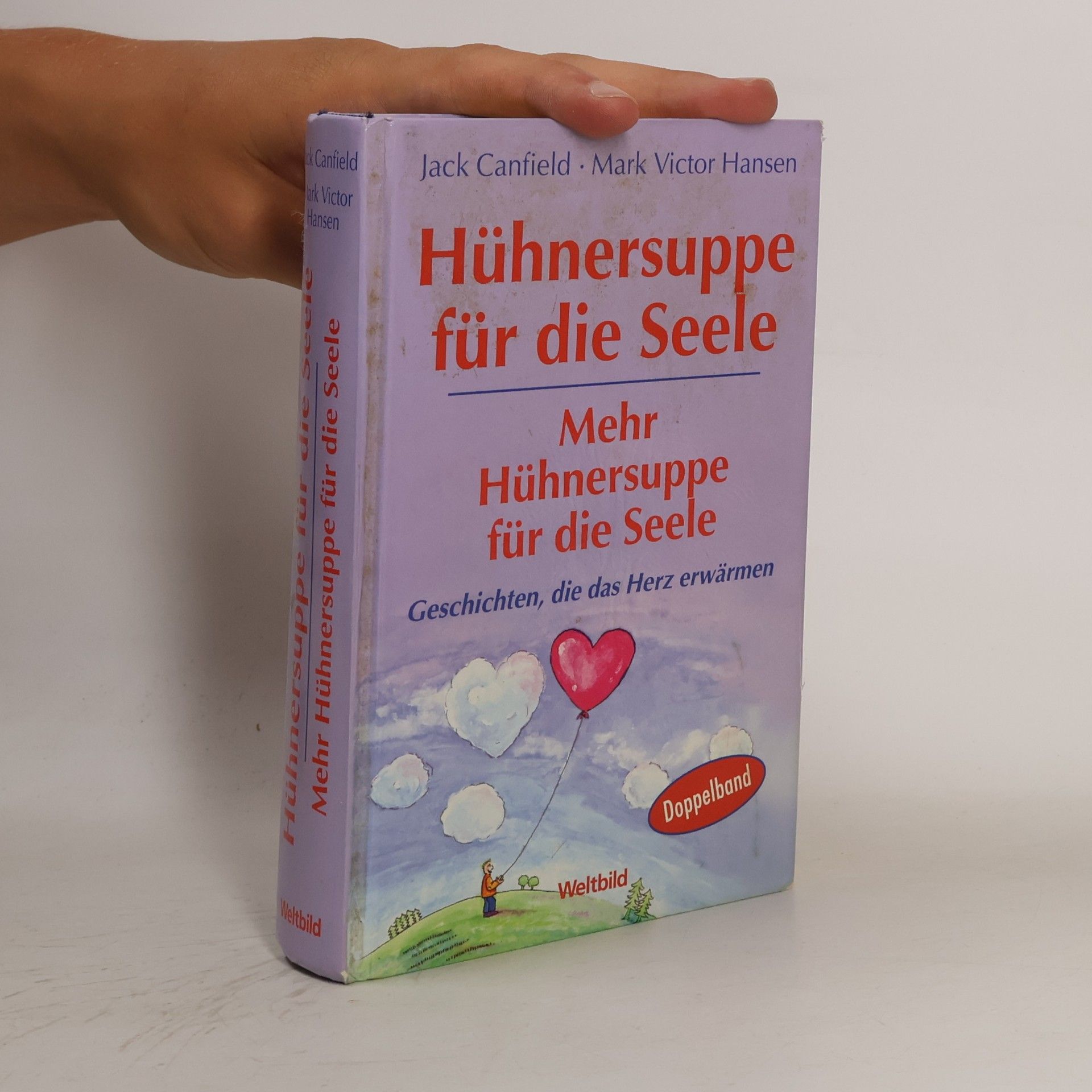 Jack Canfield Hühnersuppe für die Seele
