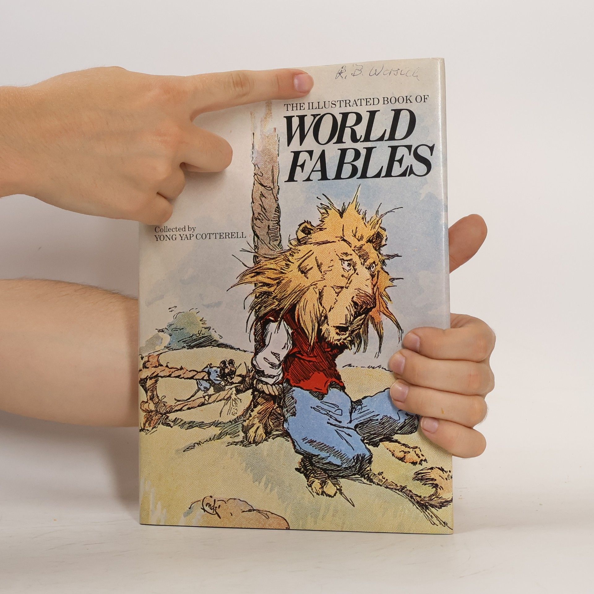 Yong Yap Cotterell The Illustrated Book of World Fables