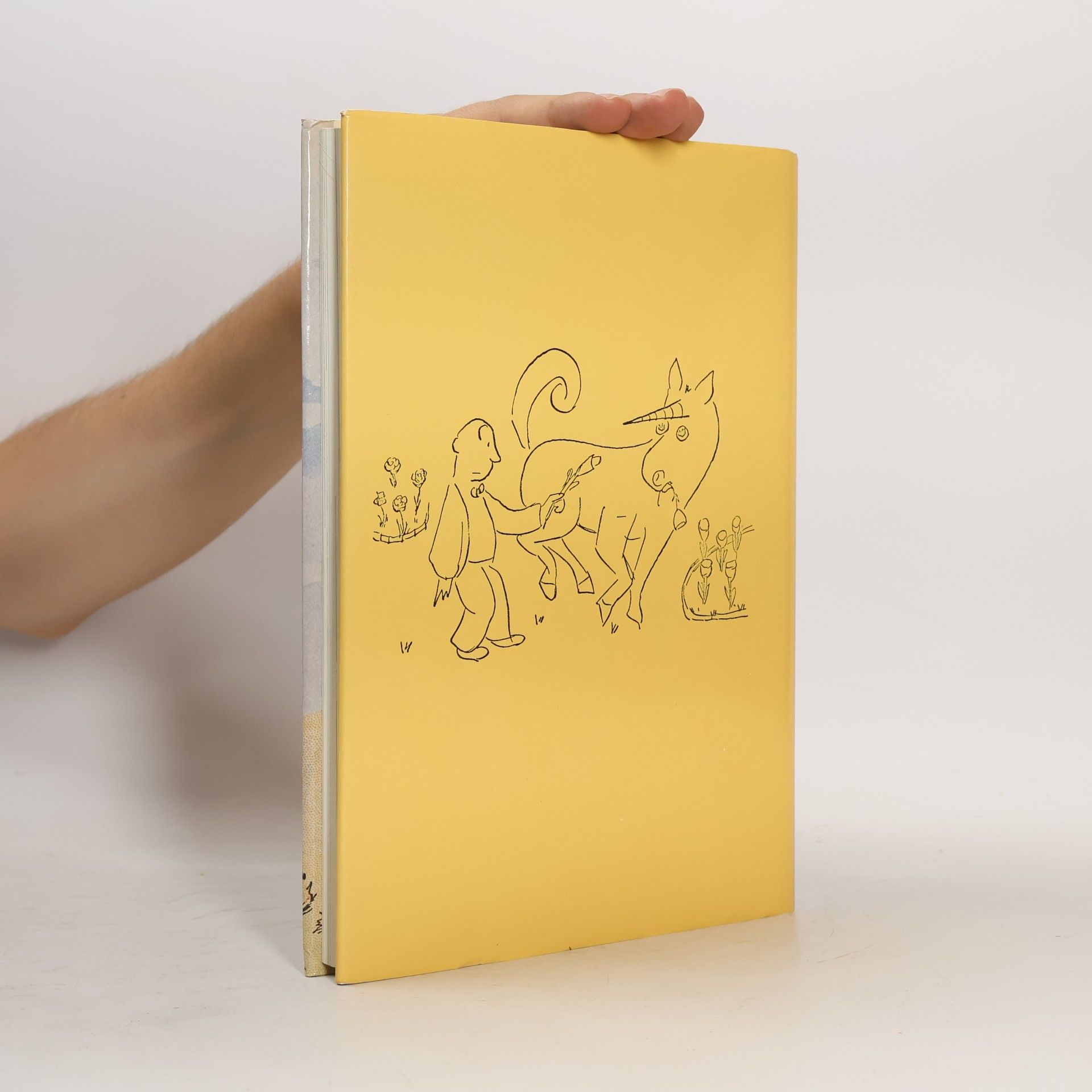 Yong Yap Cotterell The Illustrated Book of World Fables