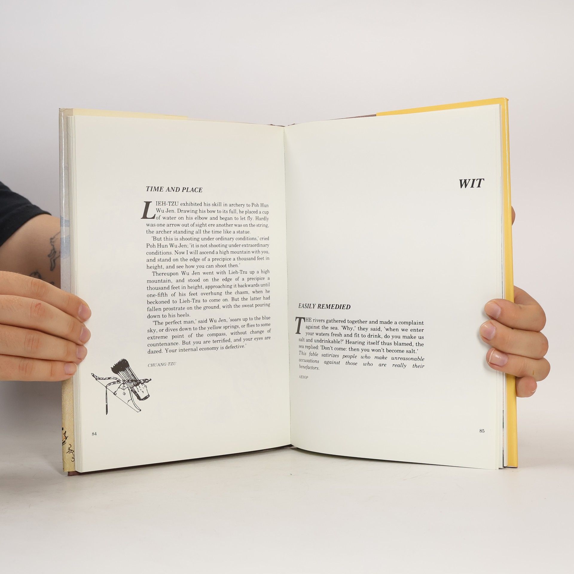 Yong Yap Cotterell The Illustrated Book of World Fables