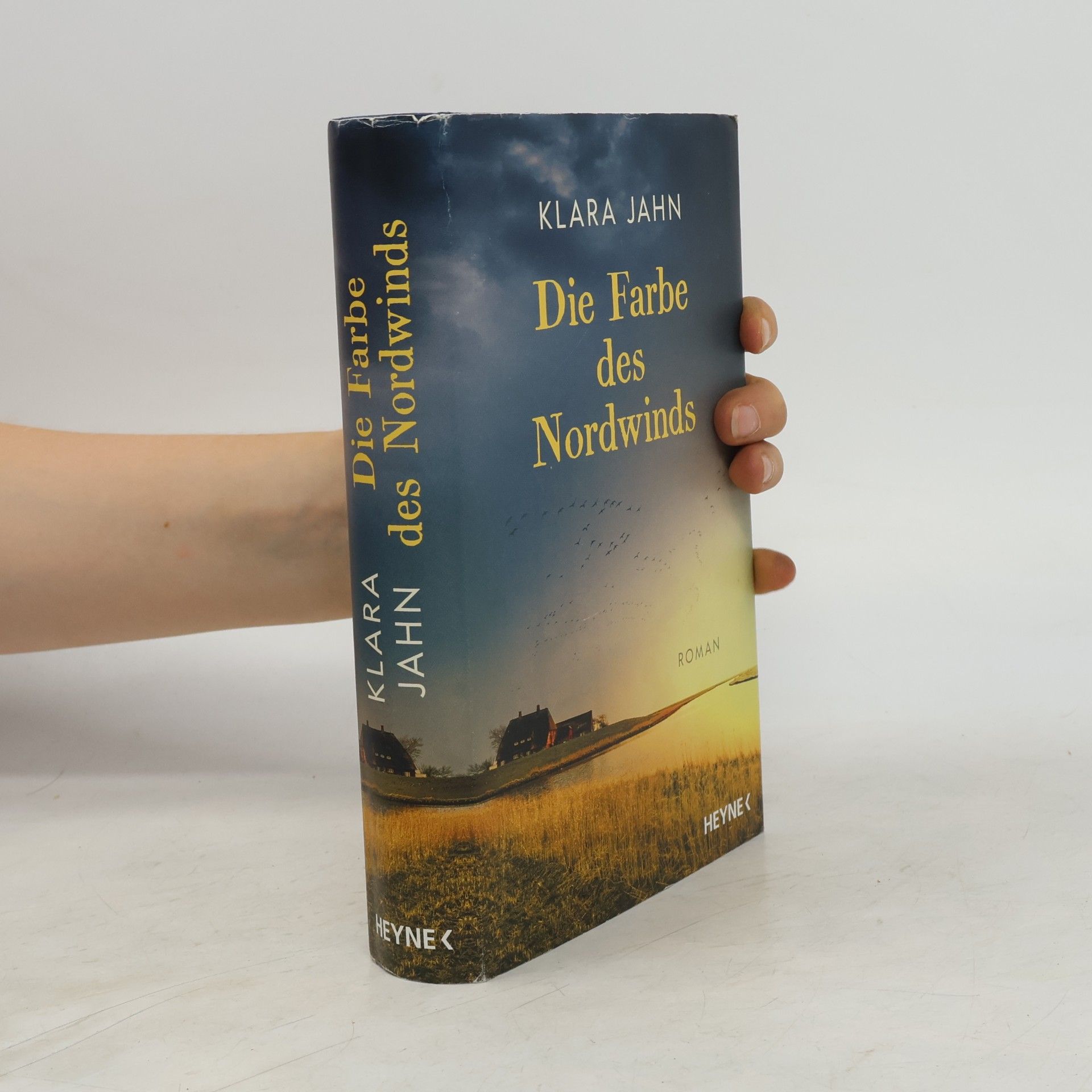 Klara Jahn Die Farbe des Nordwinds