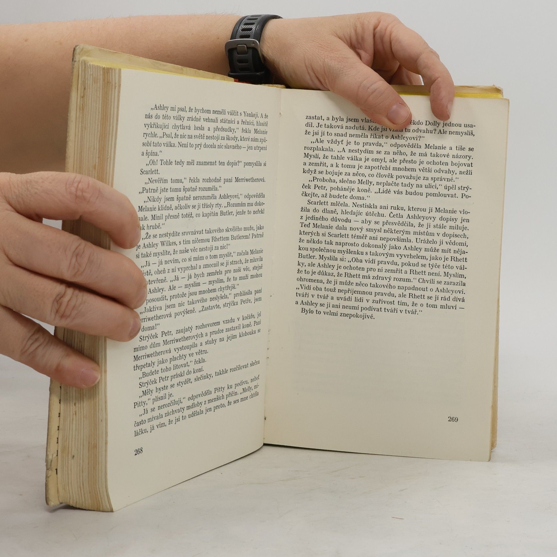 Margaret Mitchell Jih proti severu I. V bouři