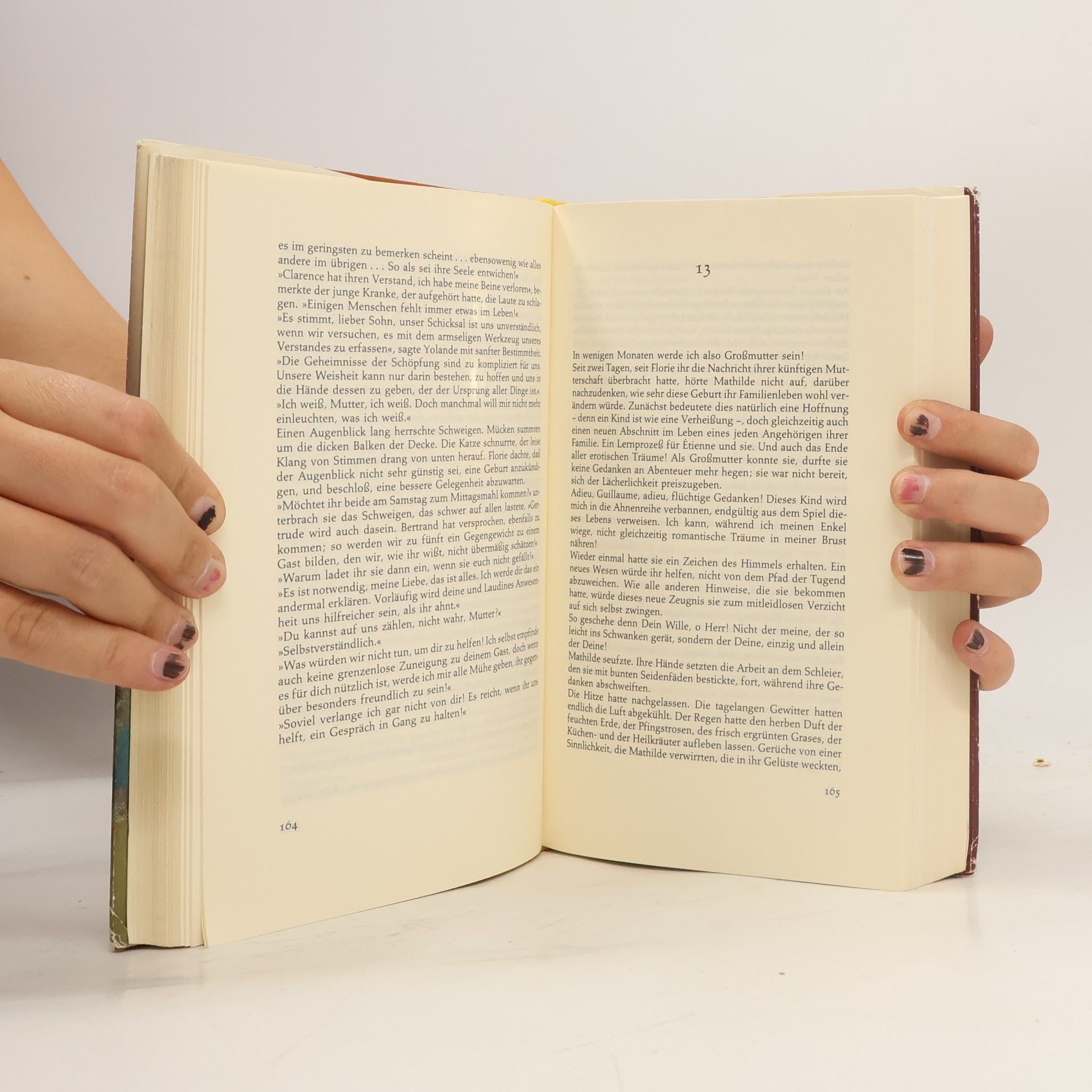 Jeanne Bourin Florie. Die Tochter des Goldschmieds