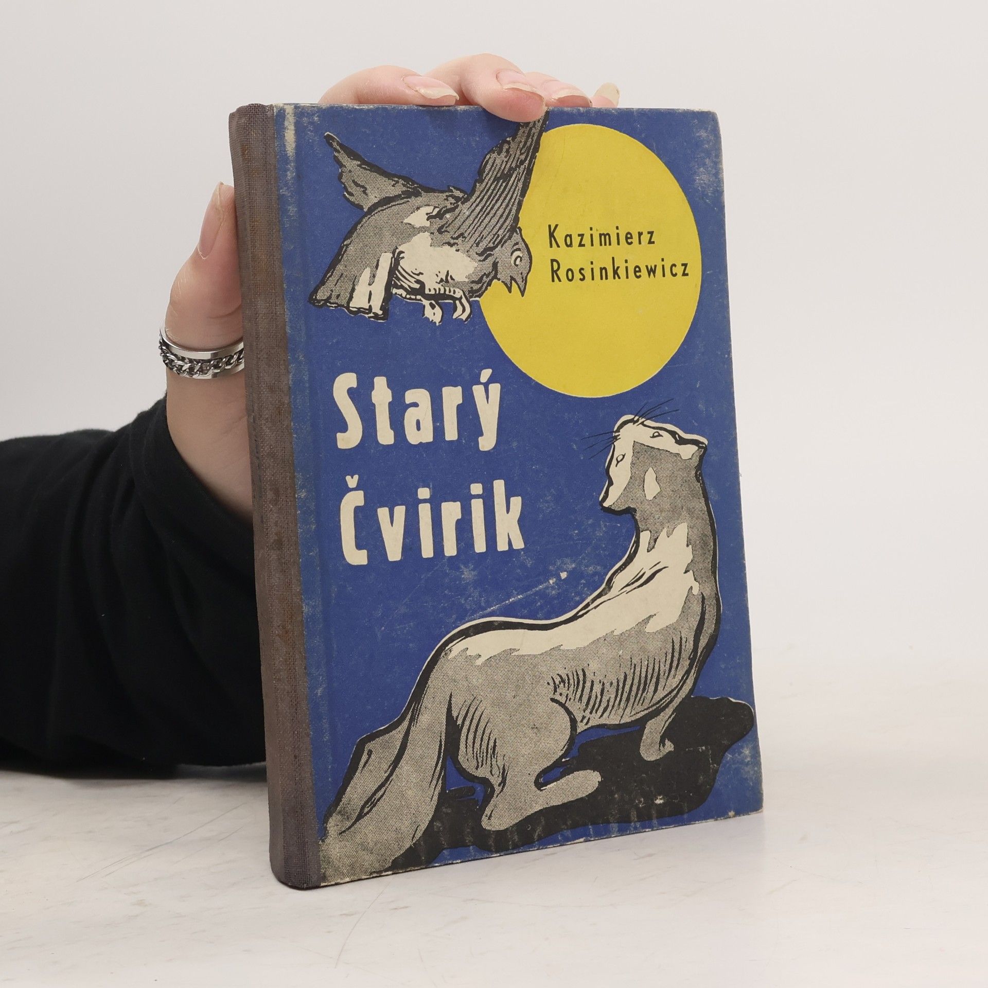 Kazimir Rosinkiewicz Starý Čvirik