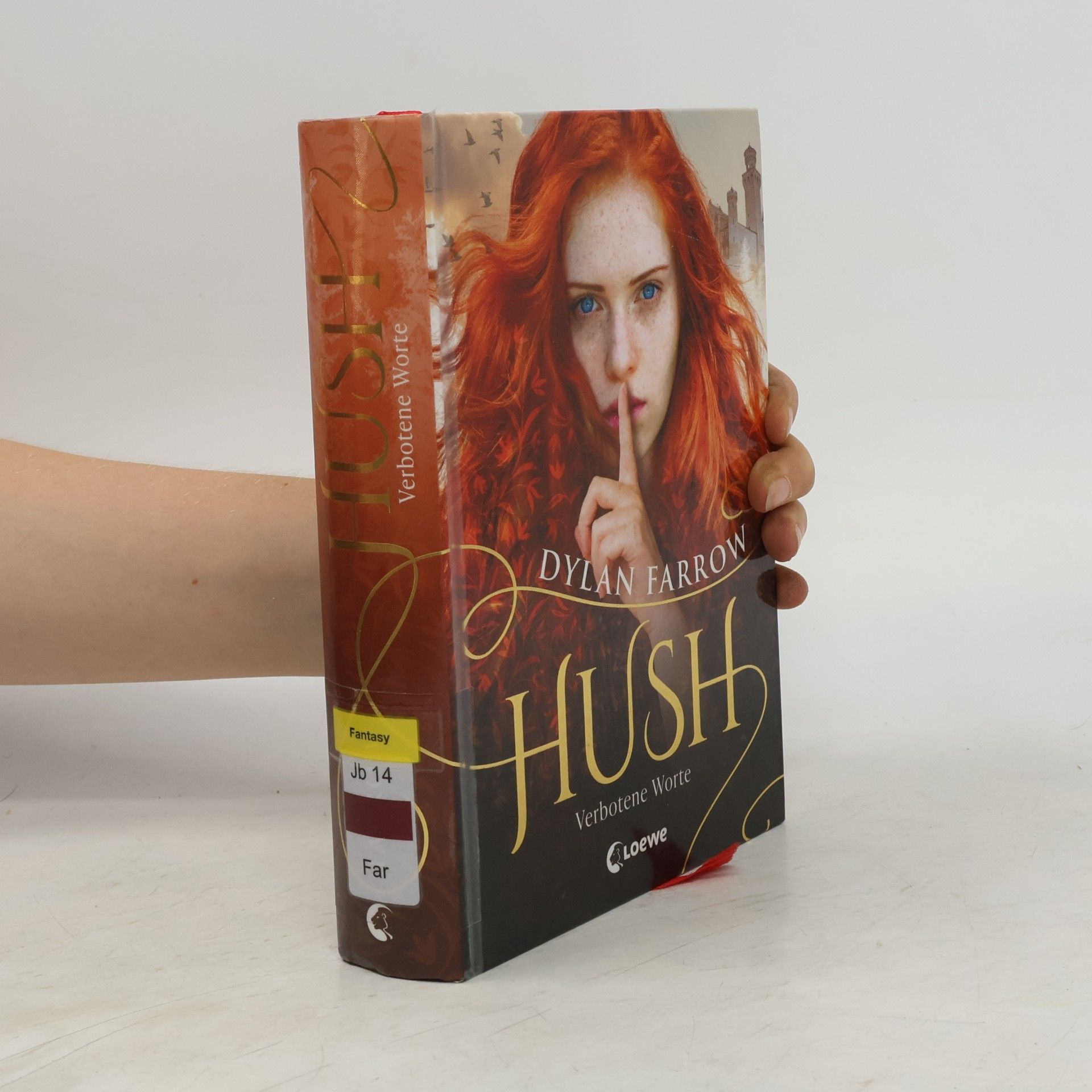 Dylan Farrow Hush - Verbotene Worte