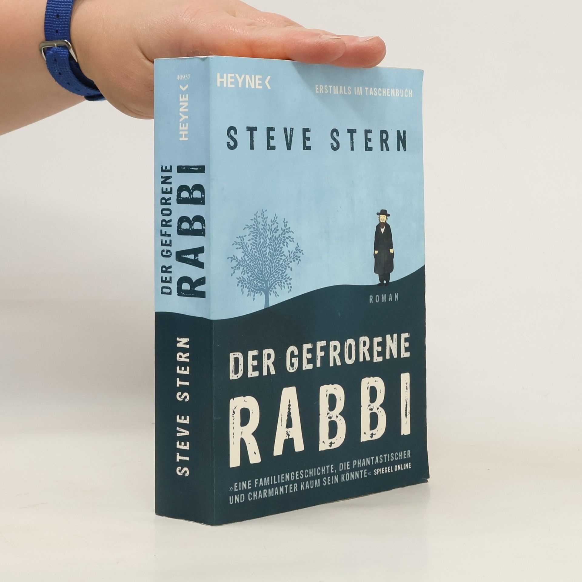 Steve Stern Der gefrorene Rabbi