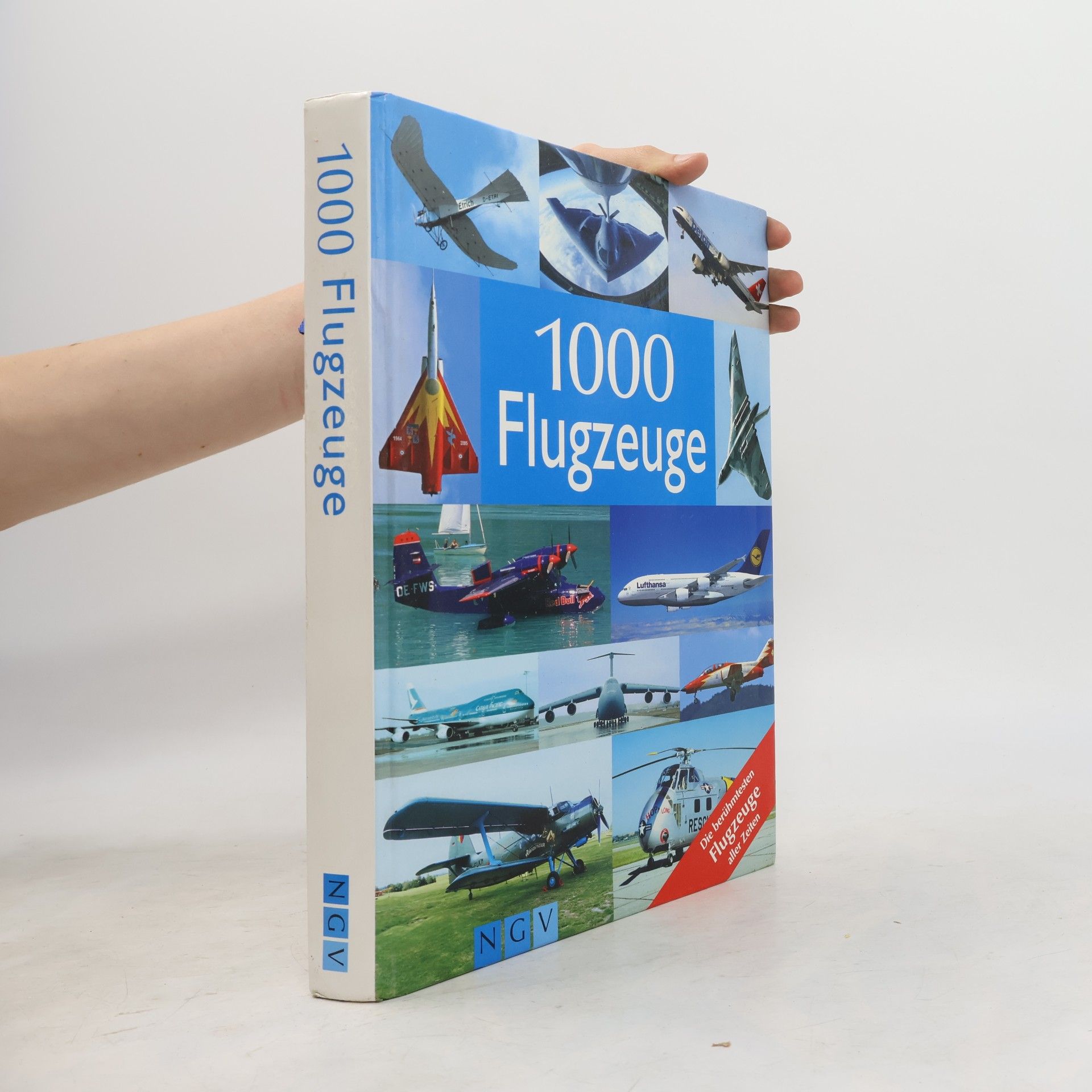 Rolf Berger 1000 Flugzeuge