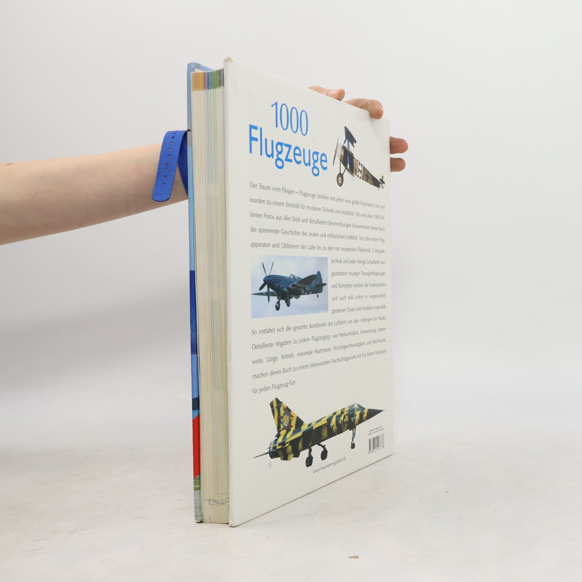 Rolf Berger 1000 Flugzeuge
