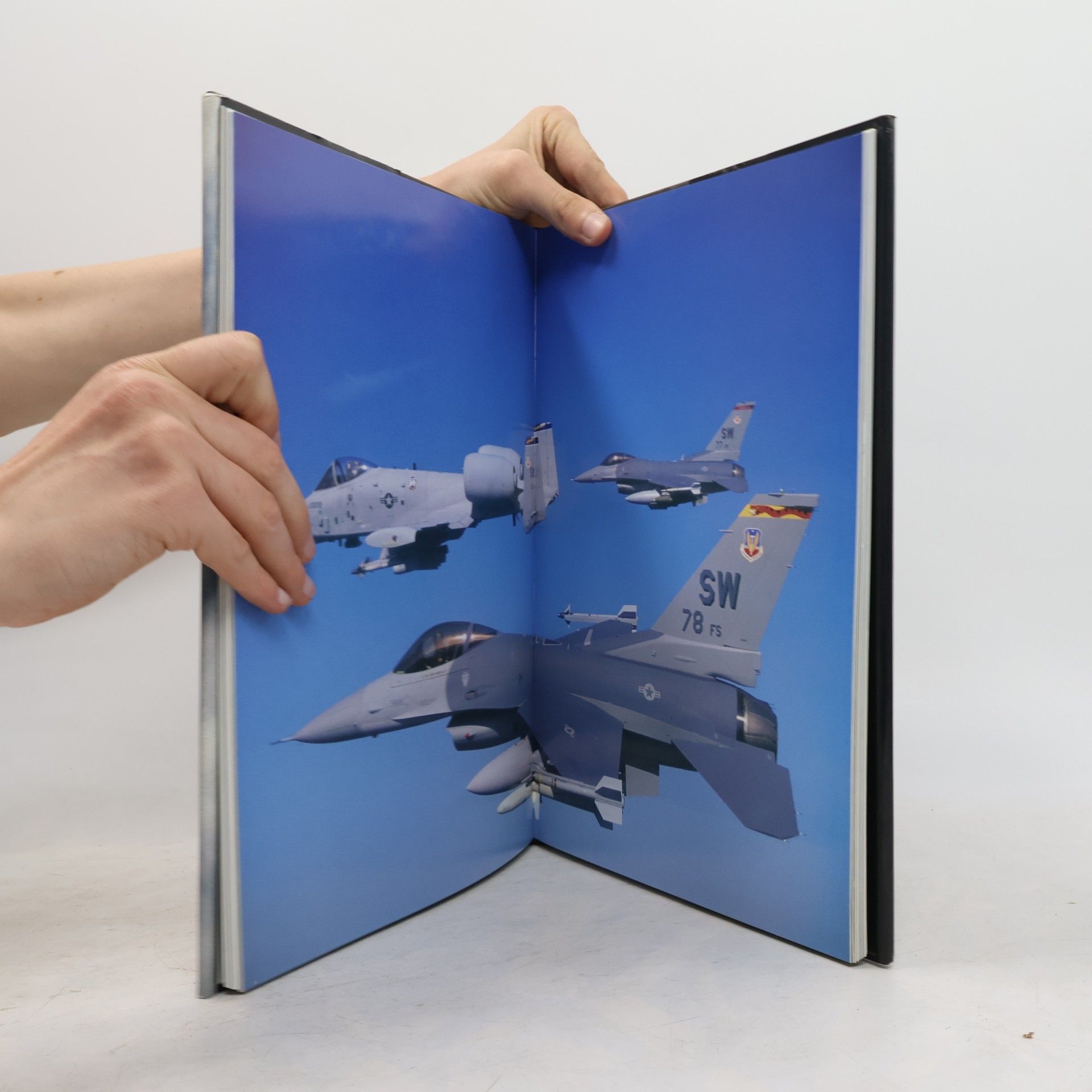 William D. Mason The United State Air Force's Air Combat Command