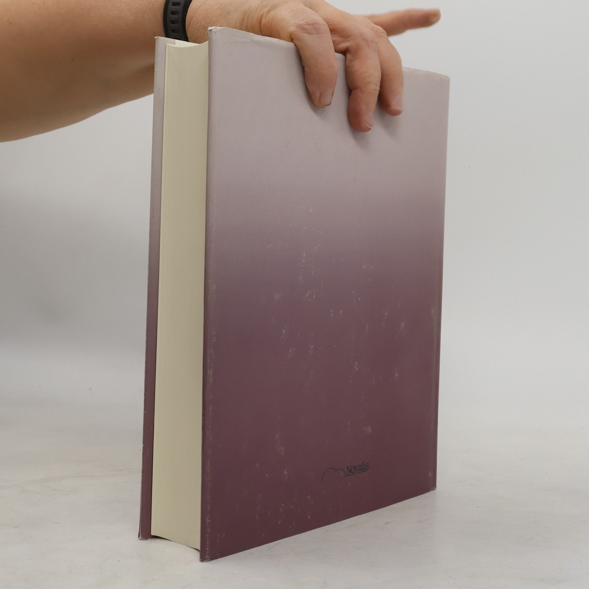 Handbuch zum Vortragswerk Rudolf Steiners