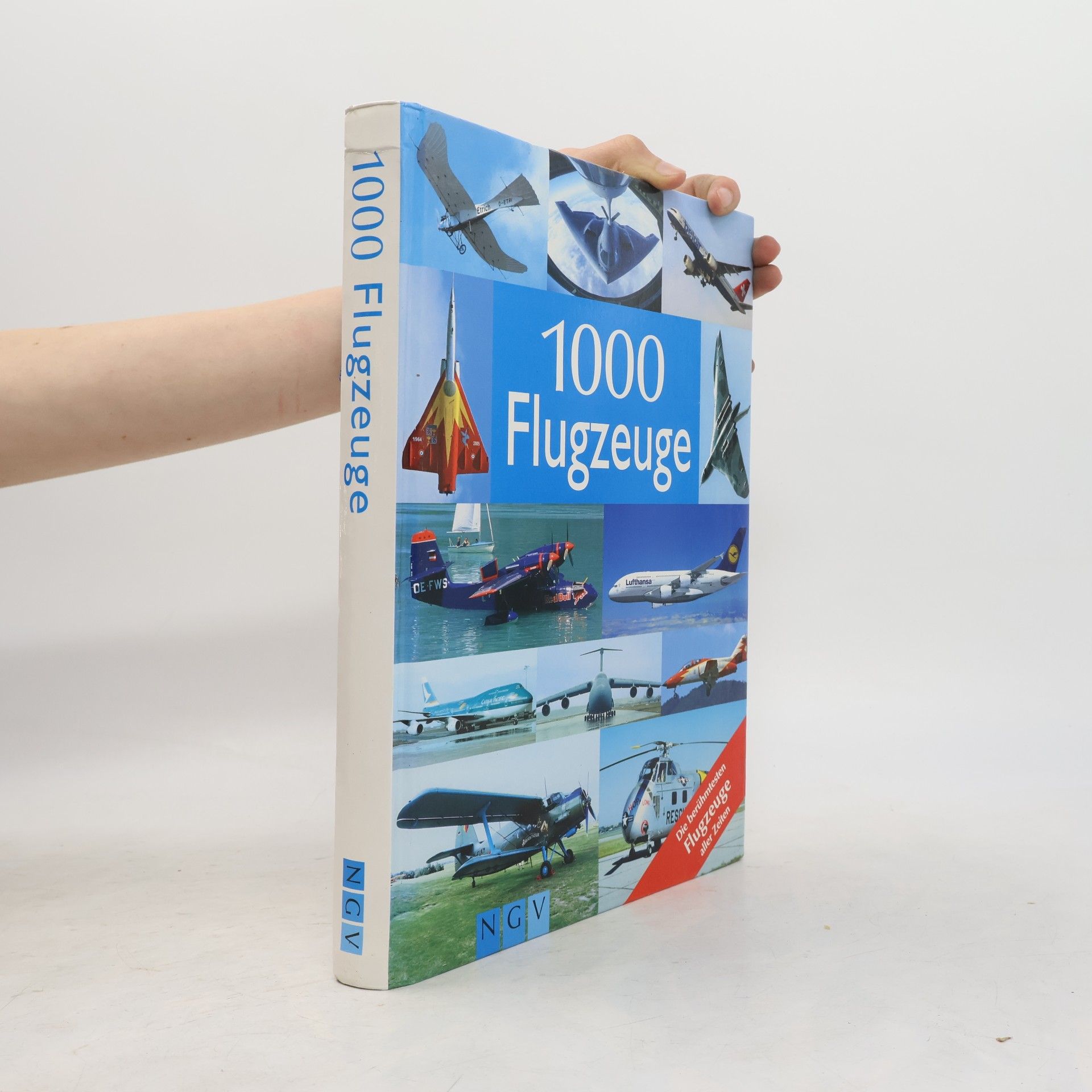 Rolf Berger 1000 Flugzeuge
