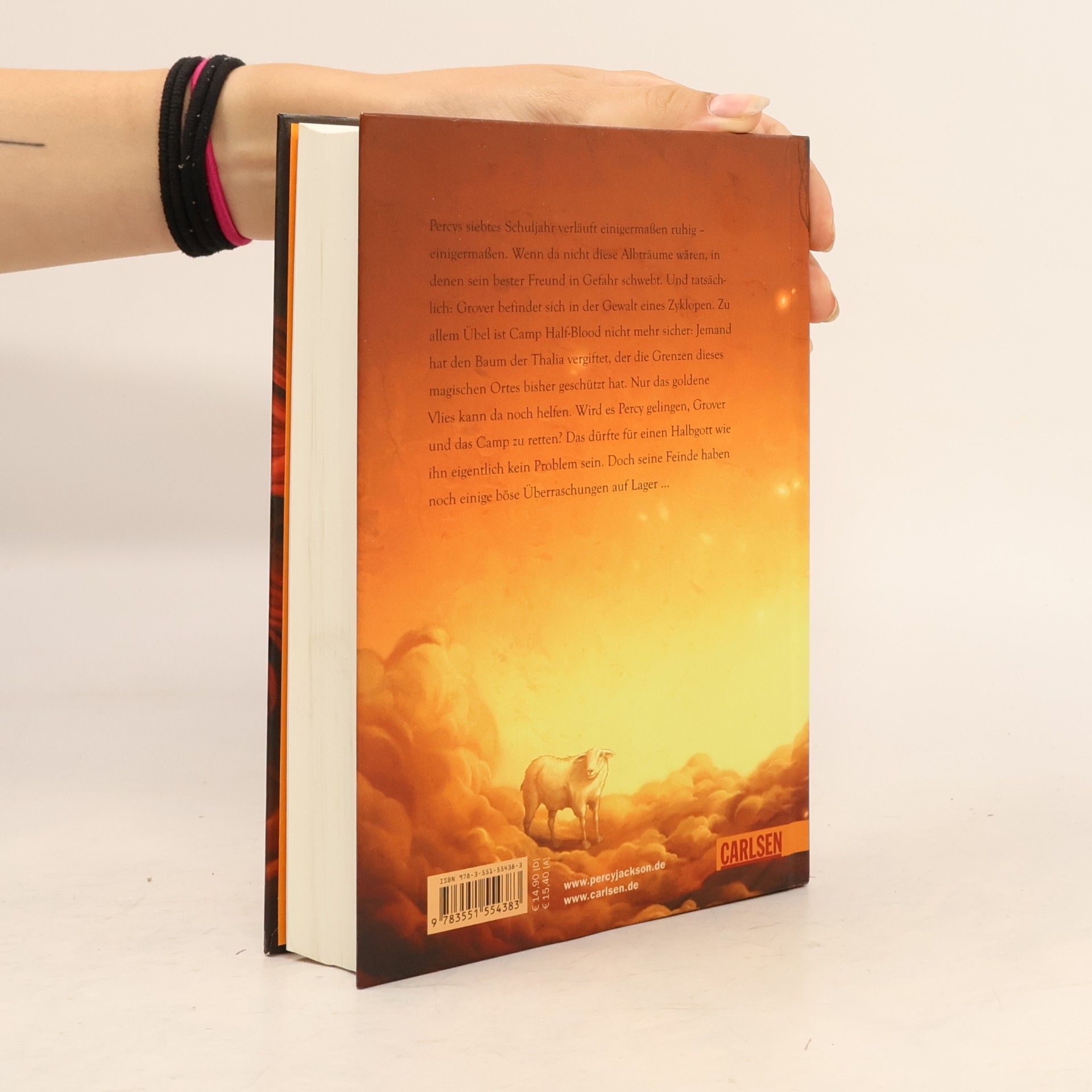 Rick Riordan Percy Jackson Band. Im Bann des Zyklopen