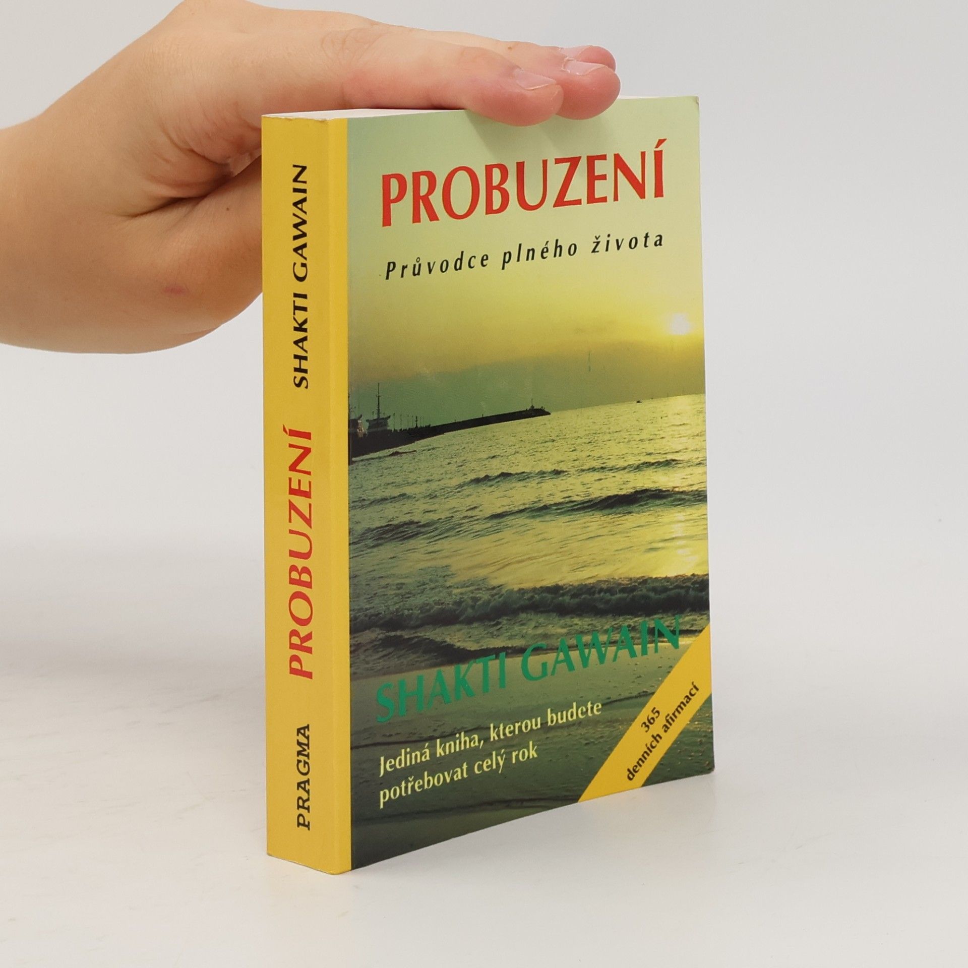 Probuzení. Průvodce plného života