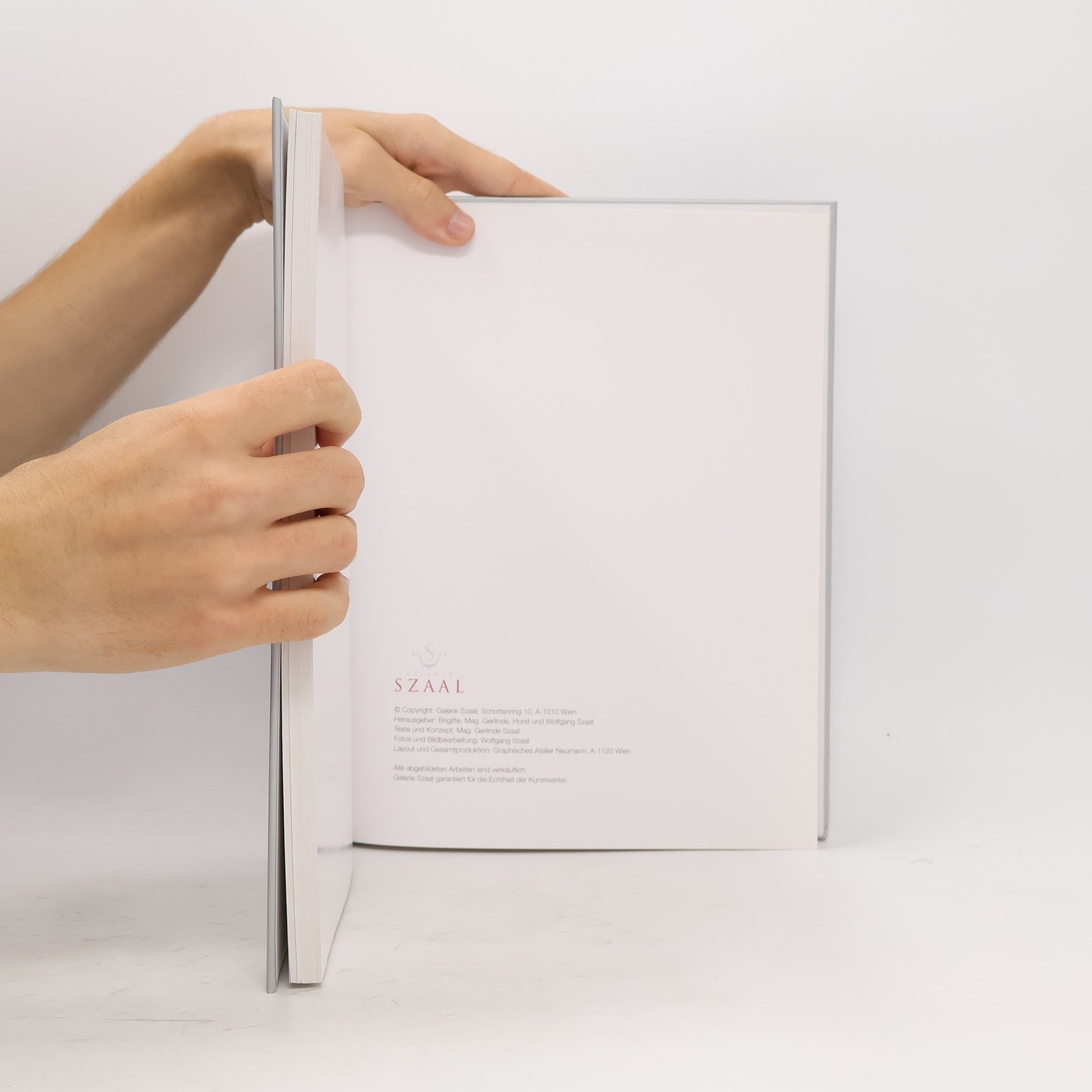 Kolektiv autorů 90 Jahre Kunsthandel Szaal. Jubiläumskatalog 2010/2011