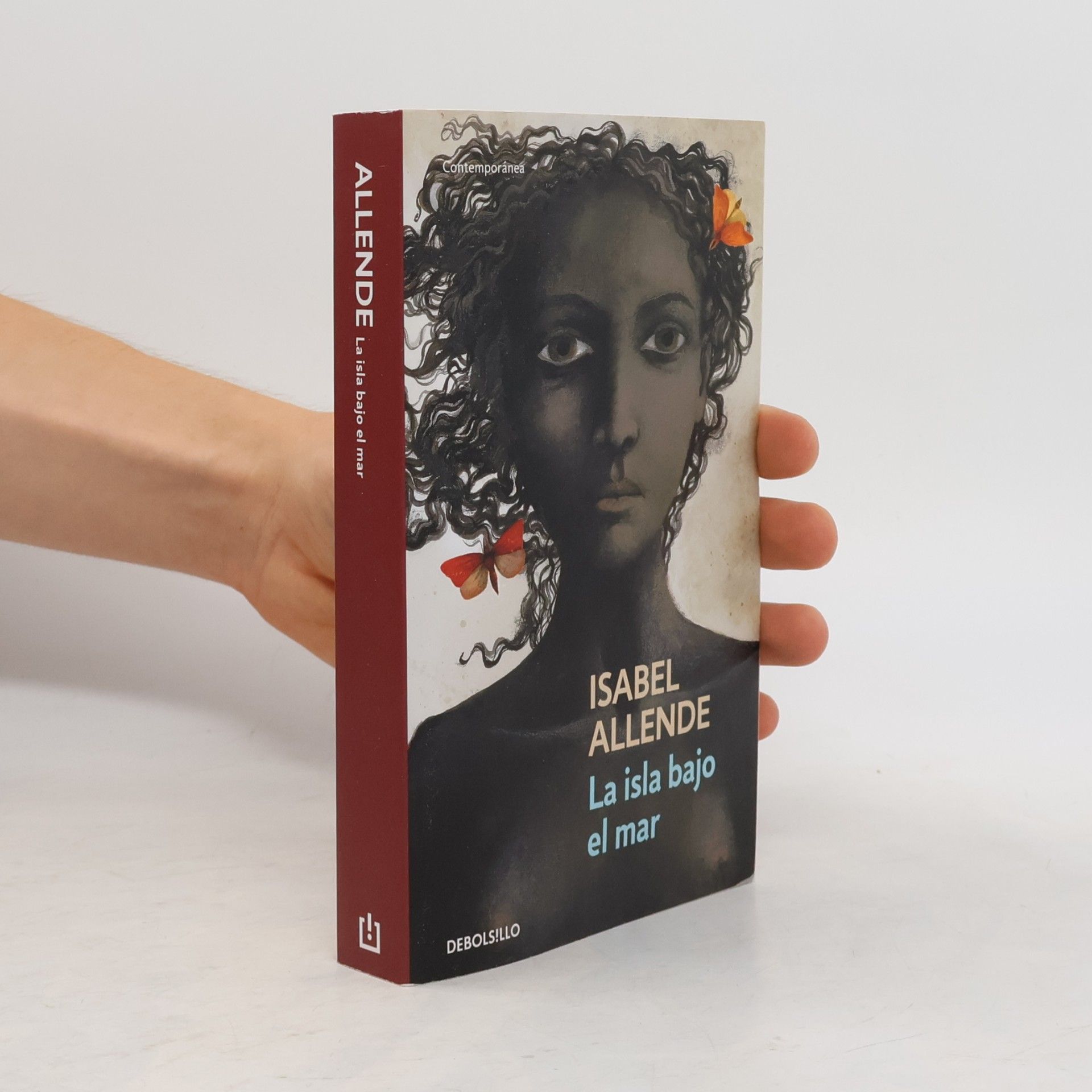 Isabel Allende Contemporánea: La isla bajo el mar
