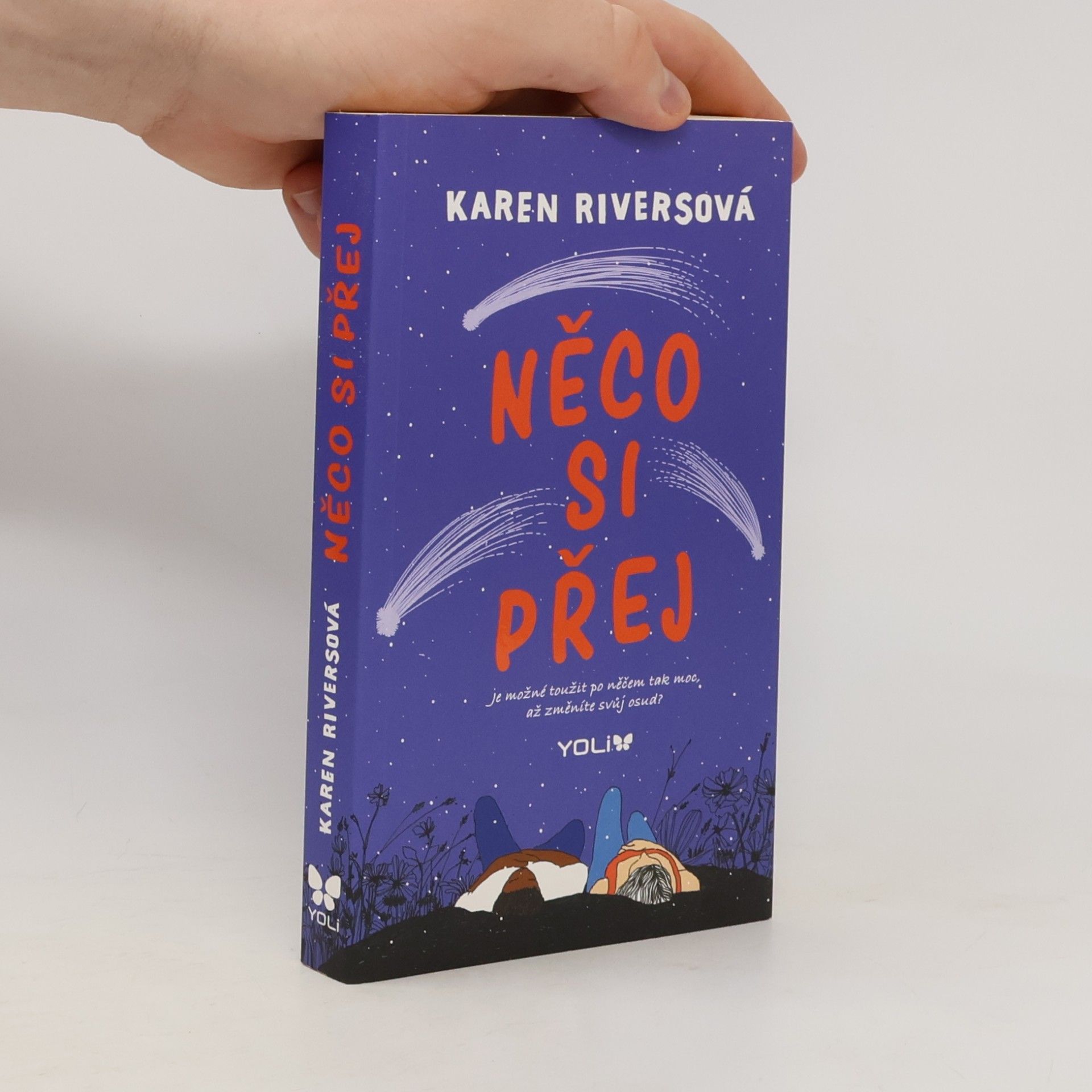Karen Rivers Něco si přej