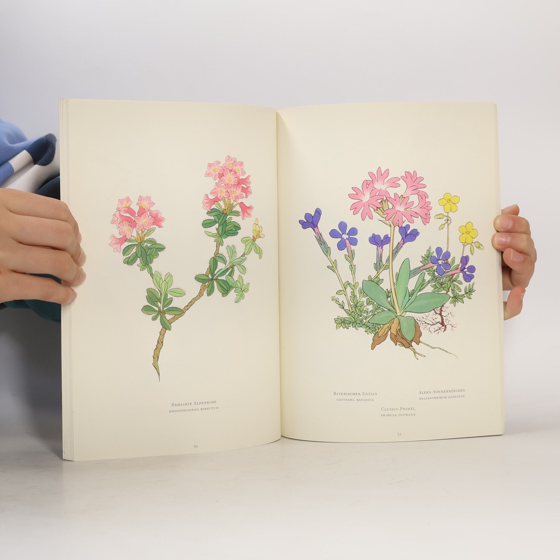 Collectif d'auteurs Blumen der Alpen. Die Blauen Bücher