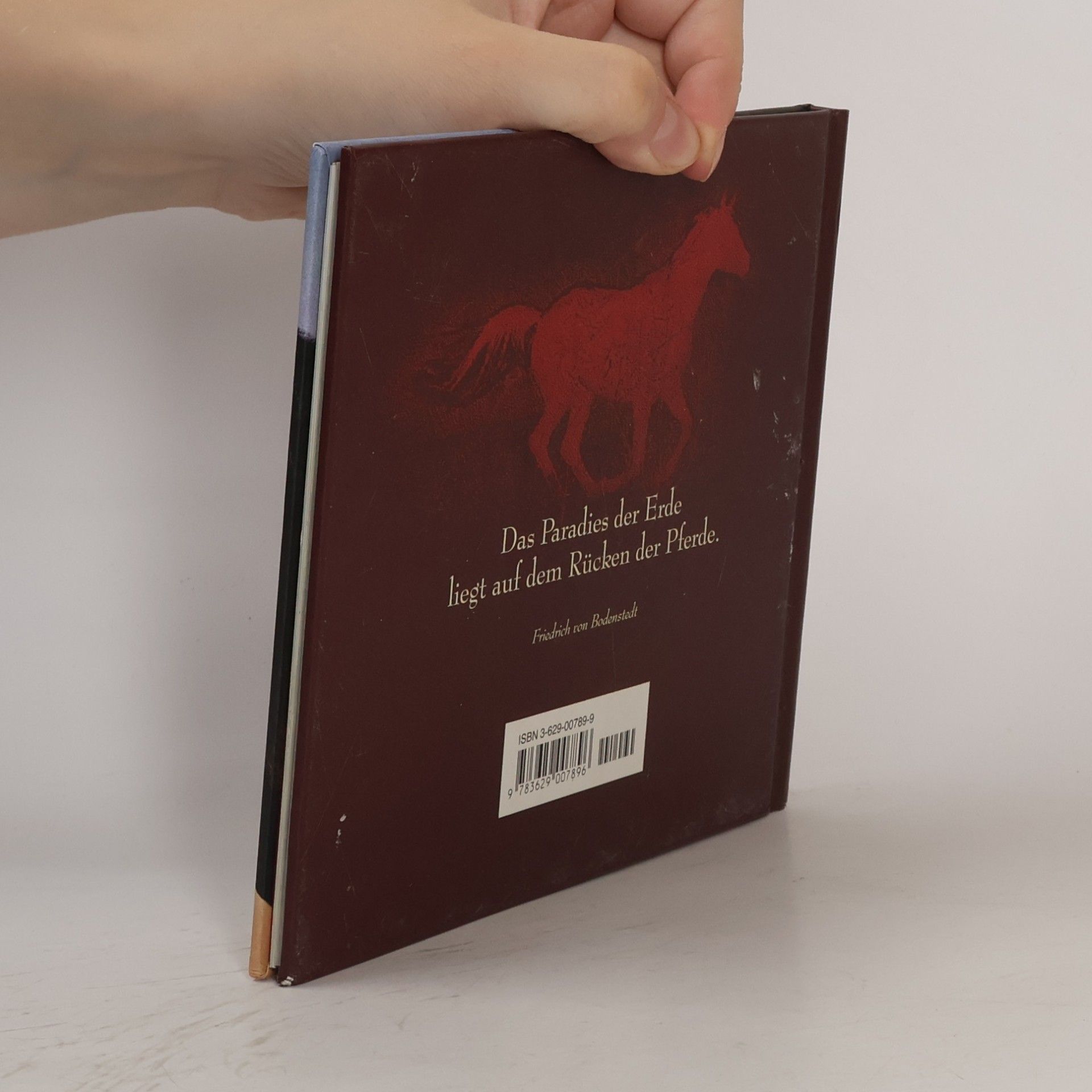 Collectif d'auteurs Ein Herz für Pferde