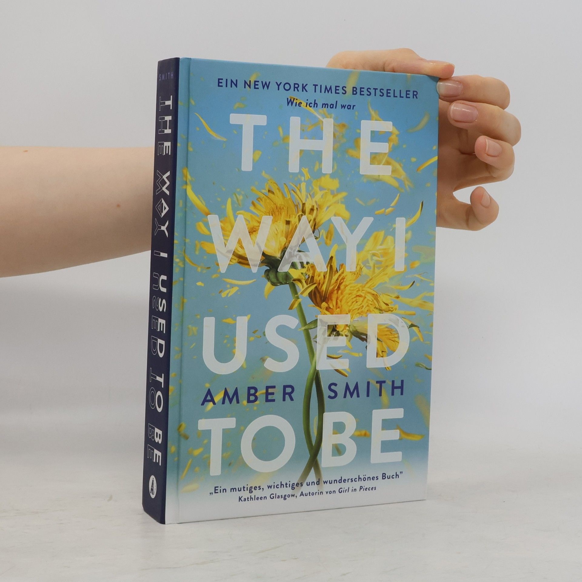 Amber Smith Wie ich mal war. The Way I Used to Be