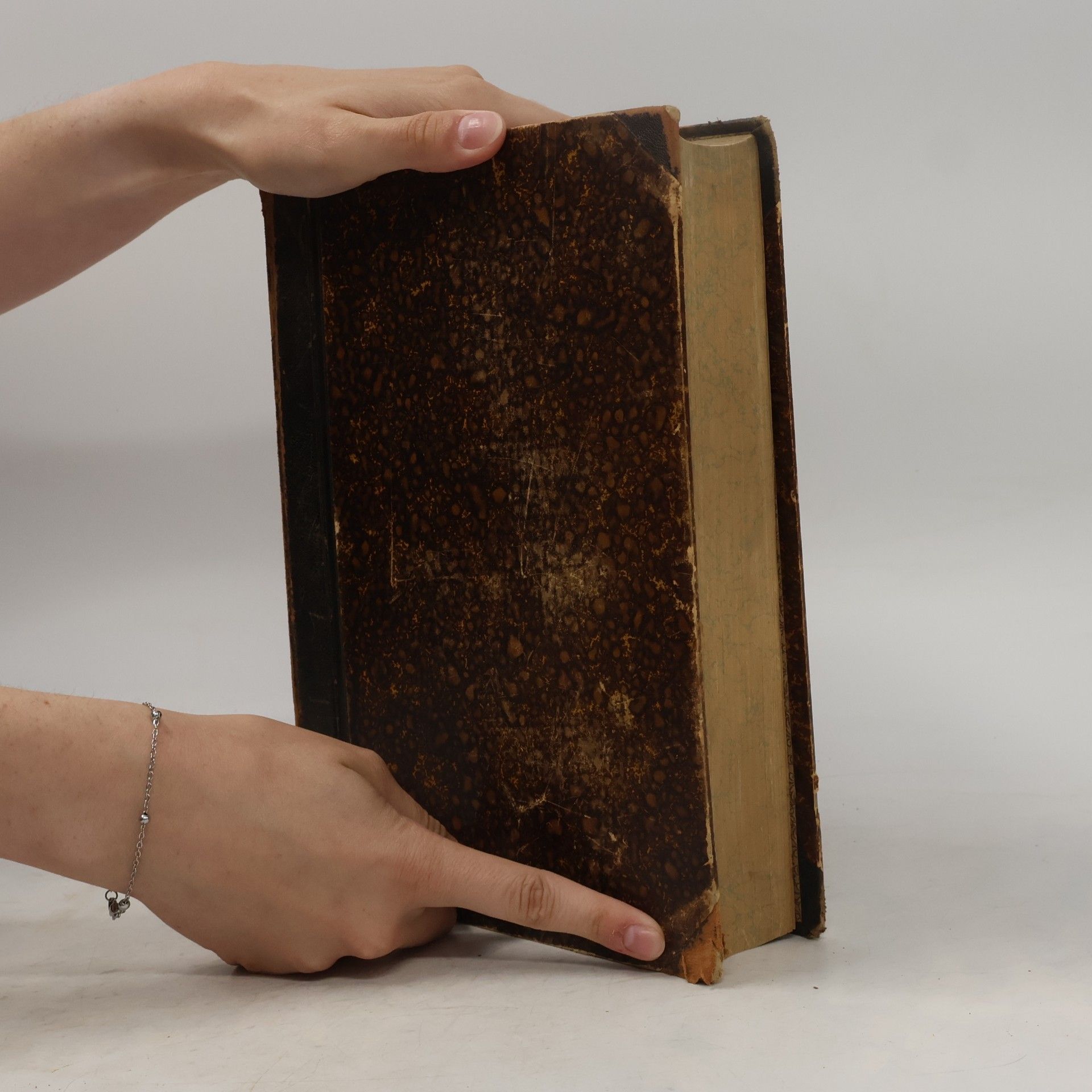 Valentin Loch Die heiligen Schriften des Alten und Neuen Testamentes. Erster Band