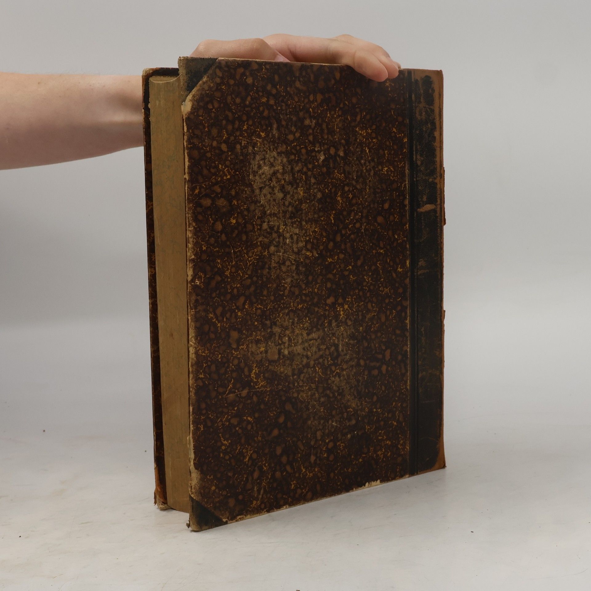 Valentin Loch Die heiligen Schriften des Alten und Neuen Testamentes. Erster Band