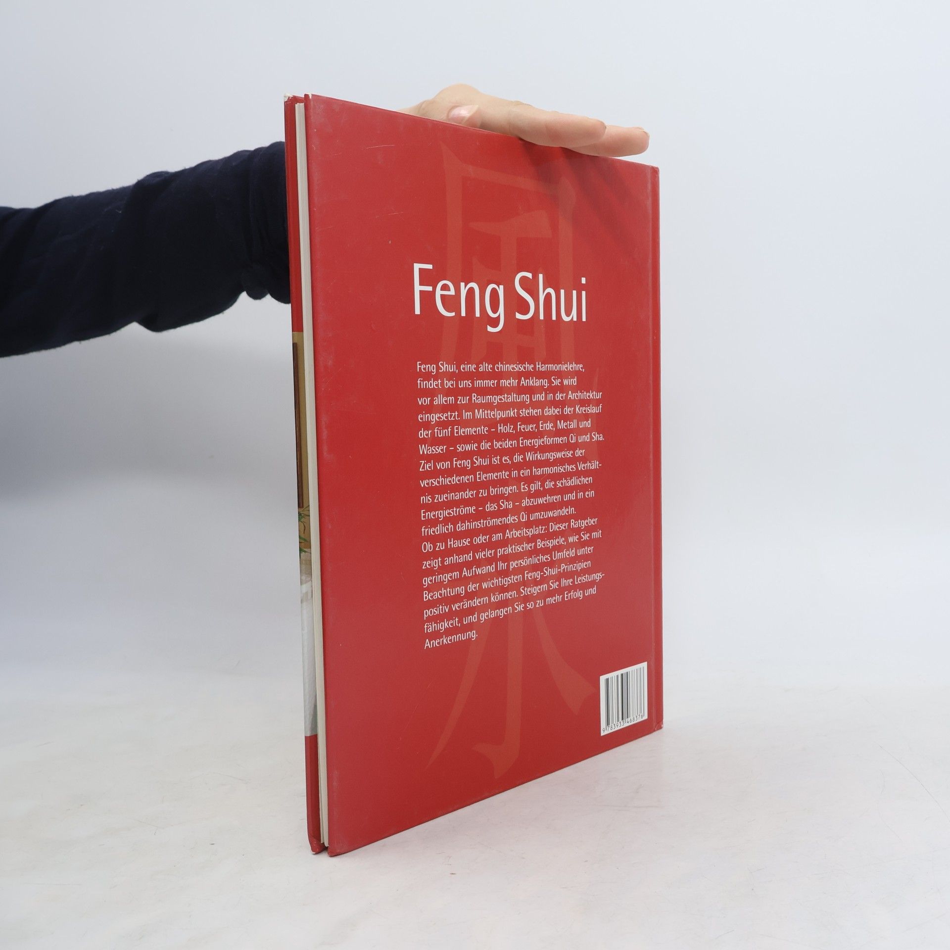Tim E. Braun Feng Shui