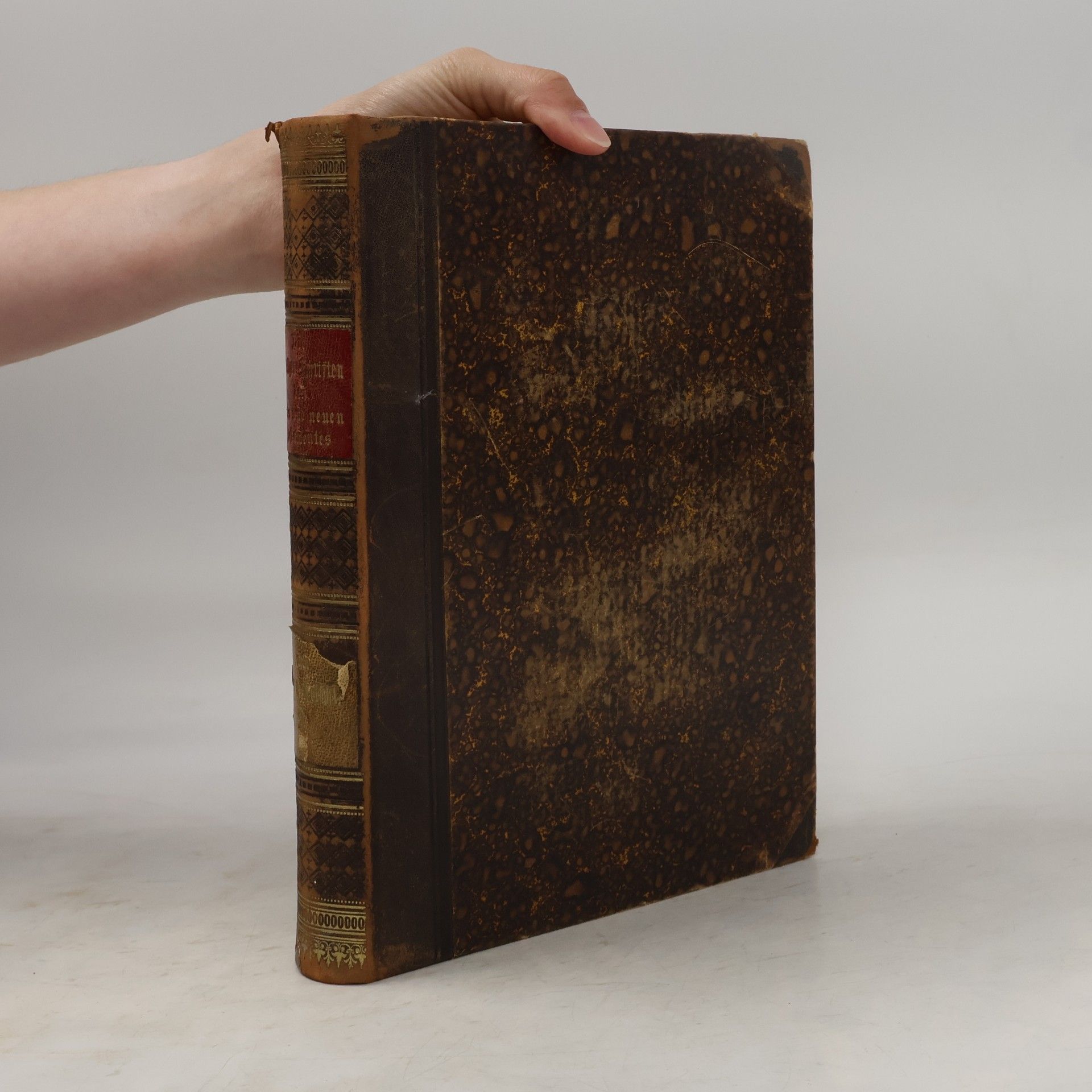 Die heiligen Schriften des alten Testamentes