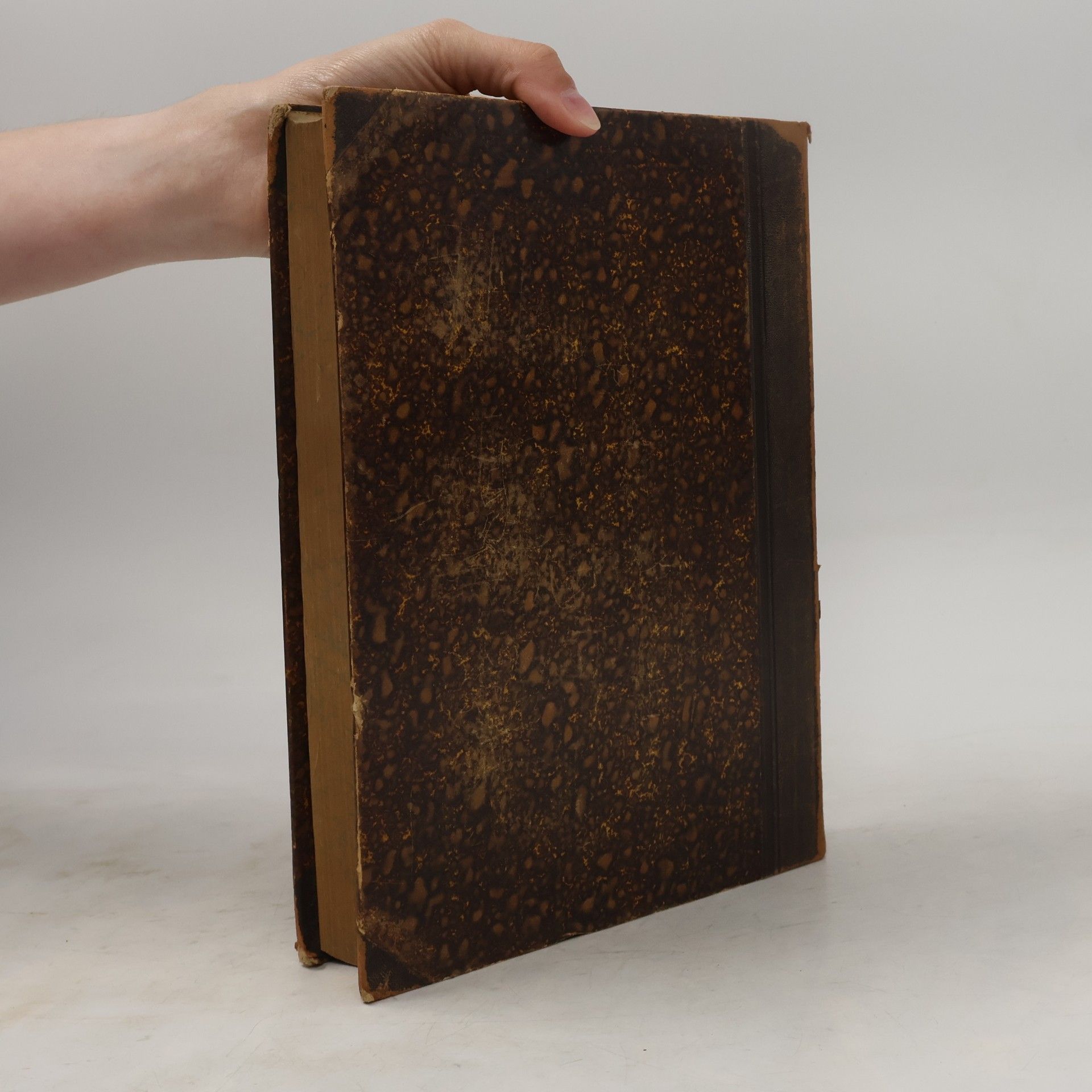 Valentin Loch Die heiligen Schriften des alten Testamentes