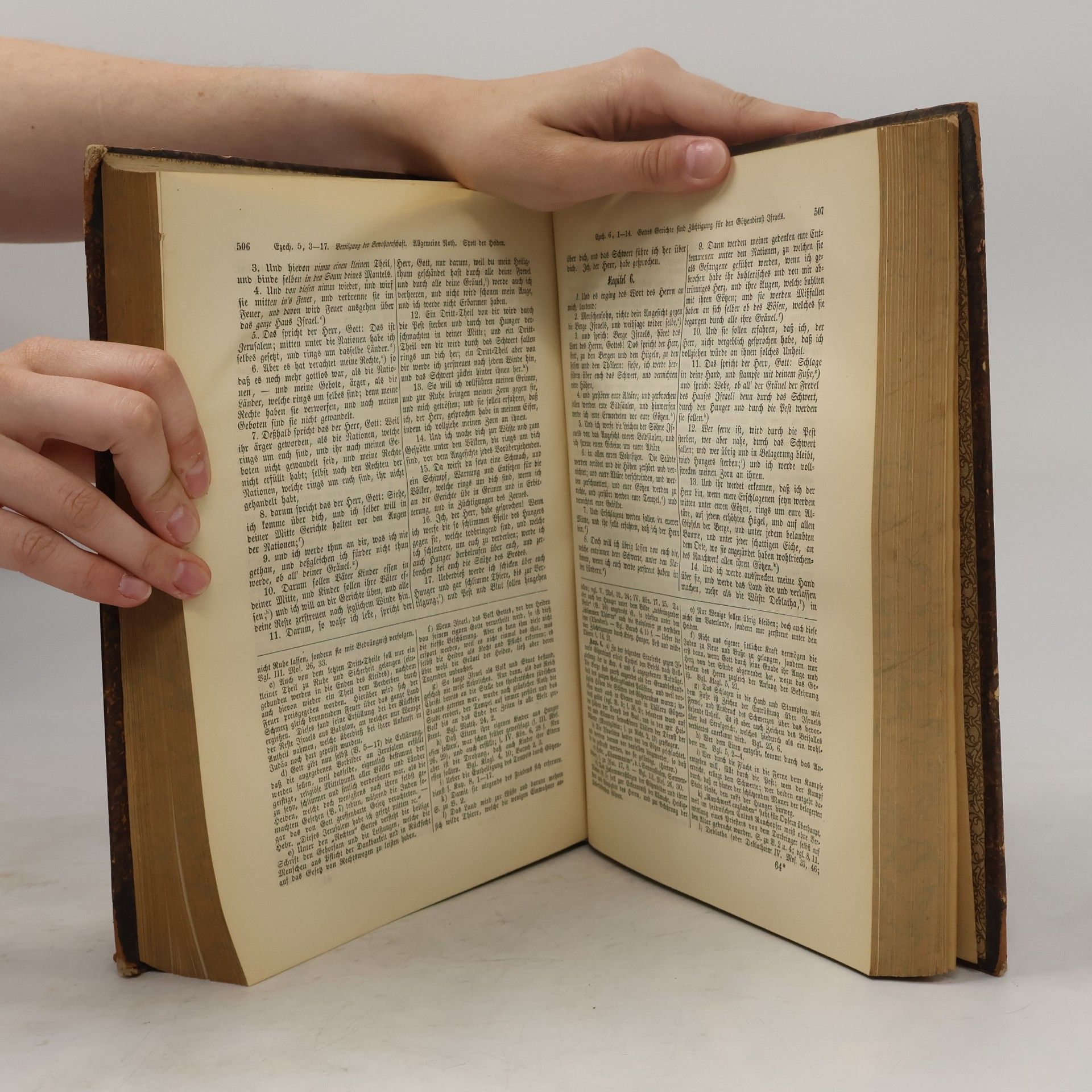 Valentin Loch Die heiligen Schriften des alten Testamentes