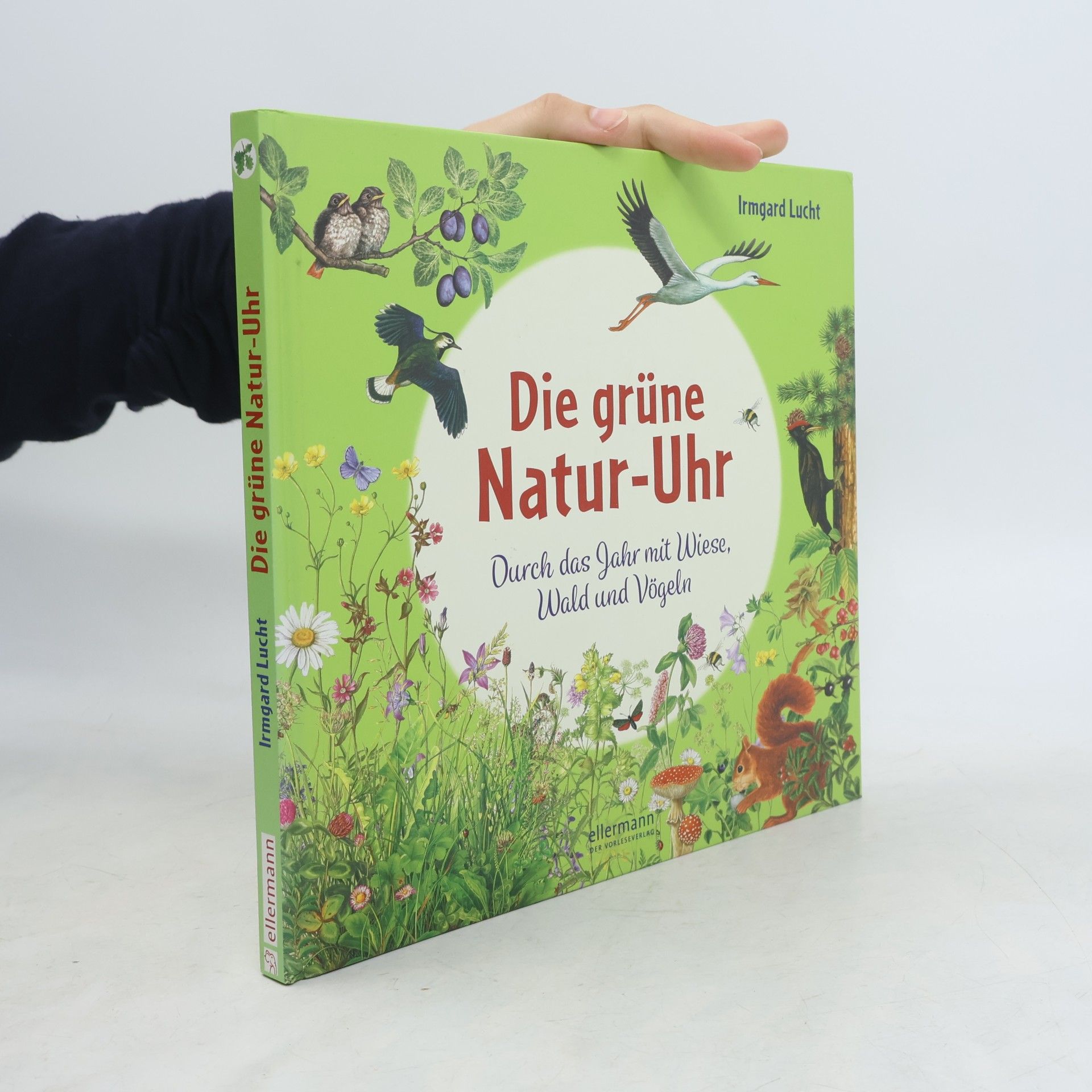 Irmgard Lucht Die Natur-Uhren: Die grüne Natur-Uhr